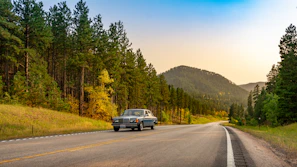 A classic convertible driving along a tree-lined country road in autumn