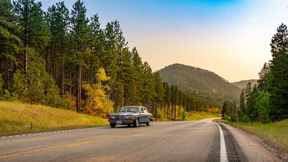 black car on road near green trees during daytime