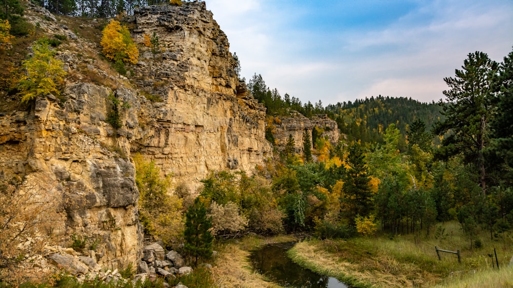 green trees near brown rocky mountain under white clouds during daytime