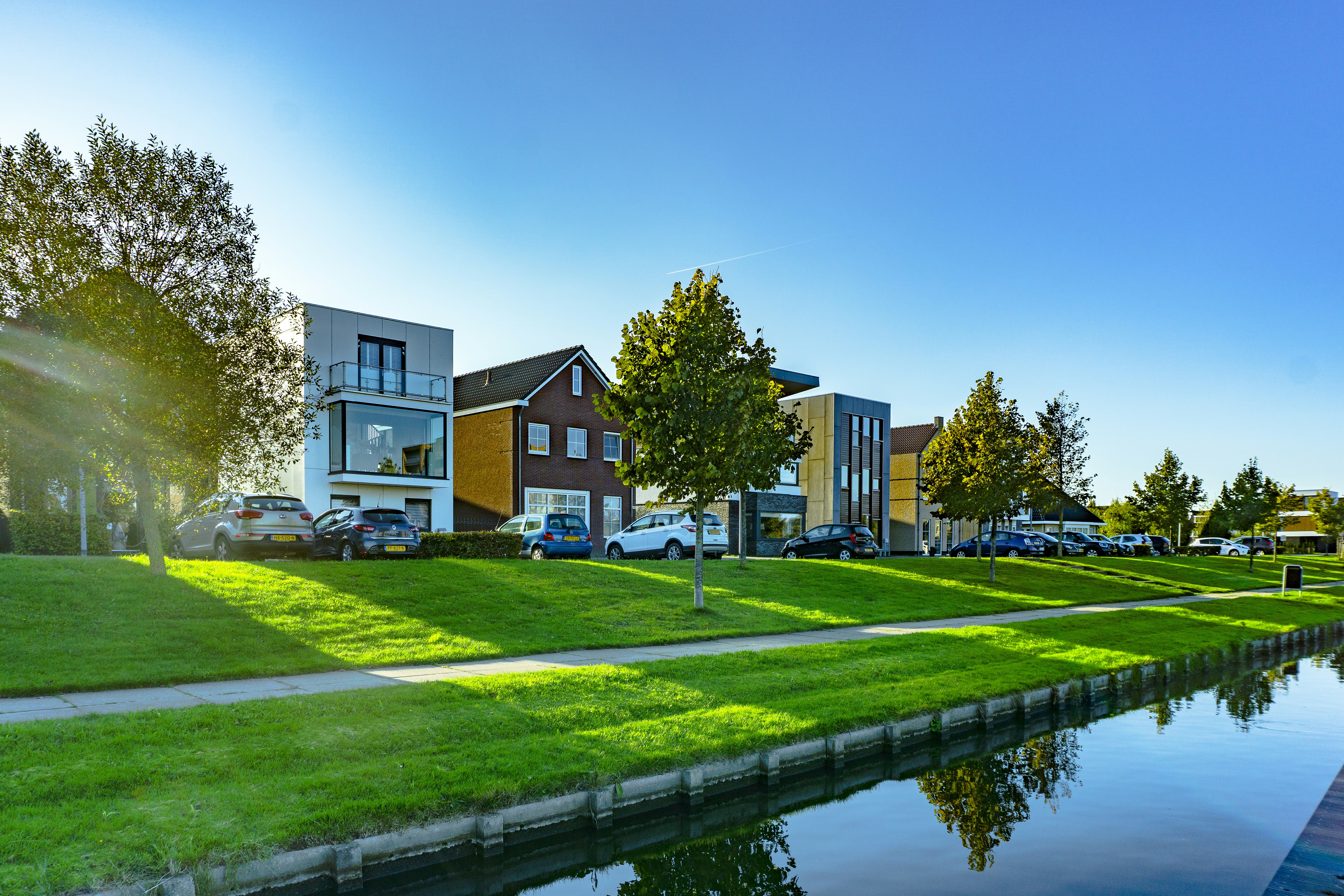 Business Image