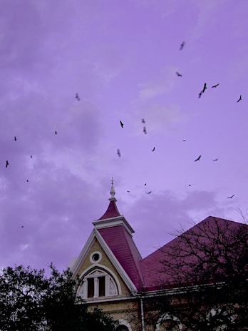 A Gothic-style building with ornate architecture featuring a pointed roof and decorative facade sits below a sky full of scattered birds. The sky has a purple hue, giving a dramatic and slightly eerie effect. Leafless branches and some foliage frame the bottom of the scene.