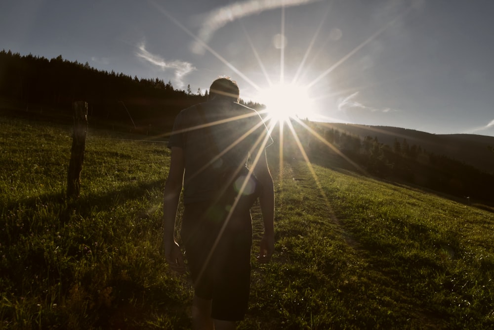 sun rays over green grass field