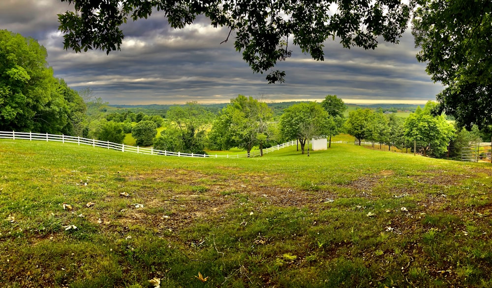 green grass field with trees under blue sky during daytime