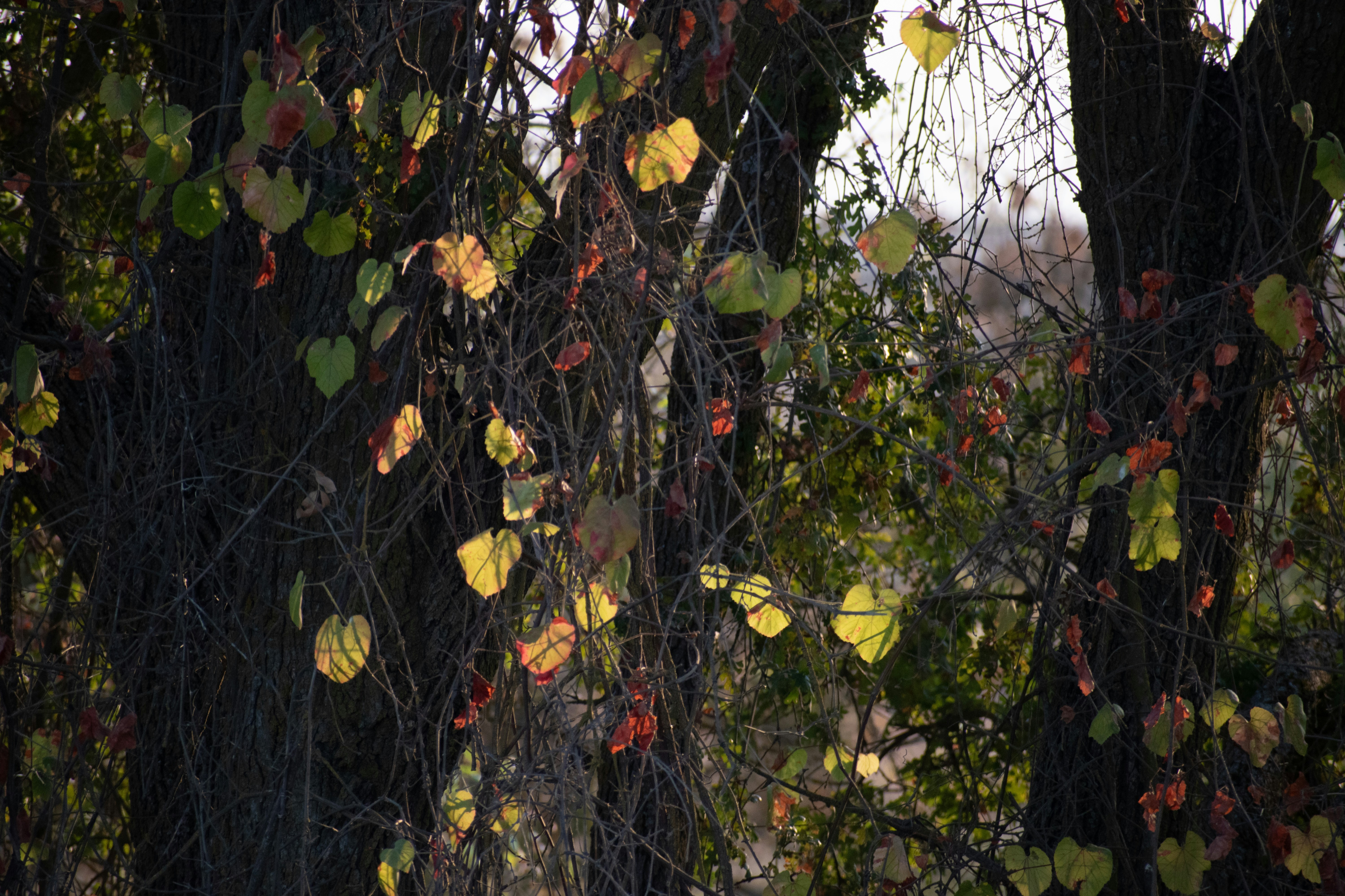 Photo by elisastonephotography