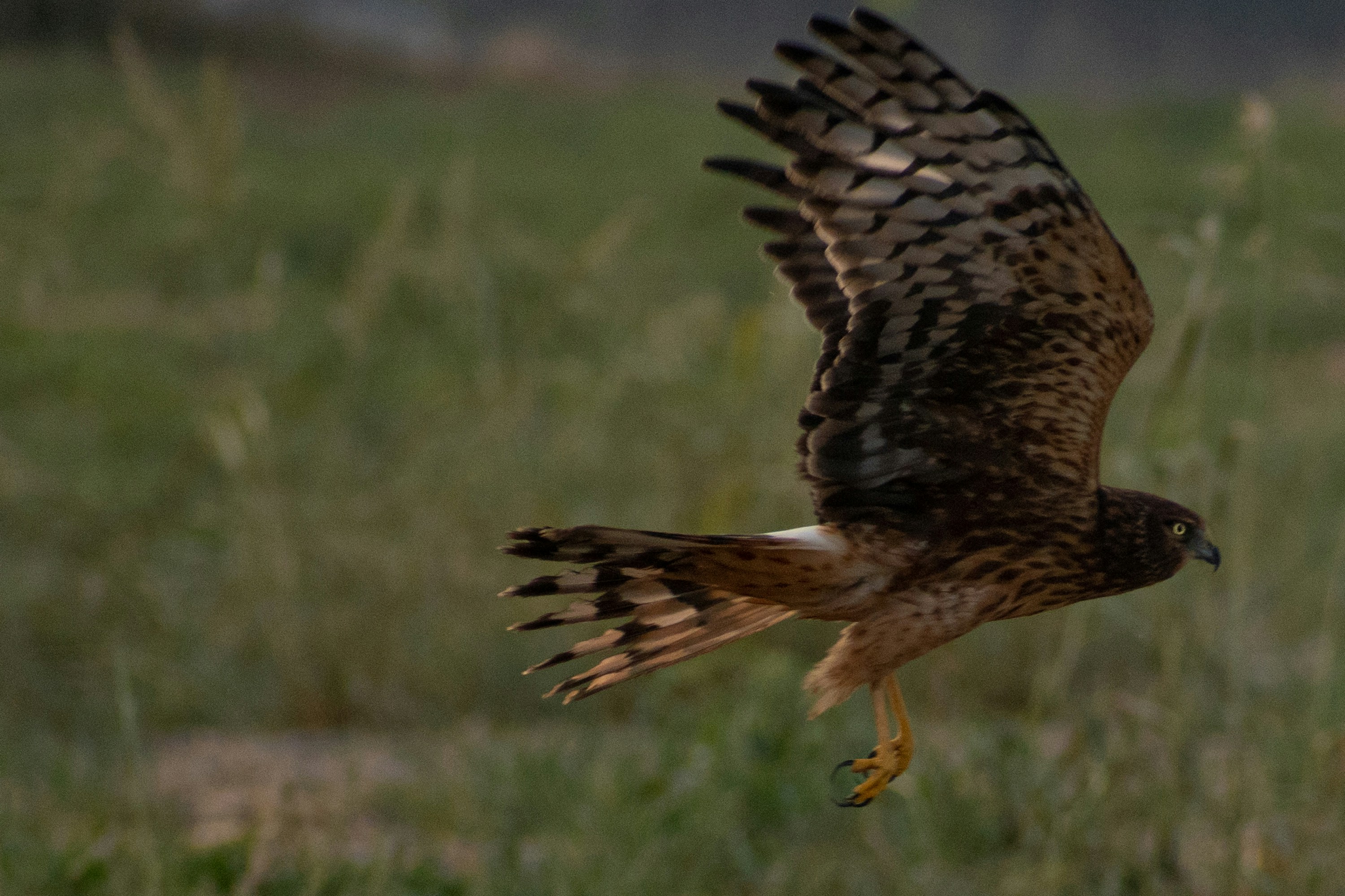 Photo by elisastonephotography