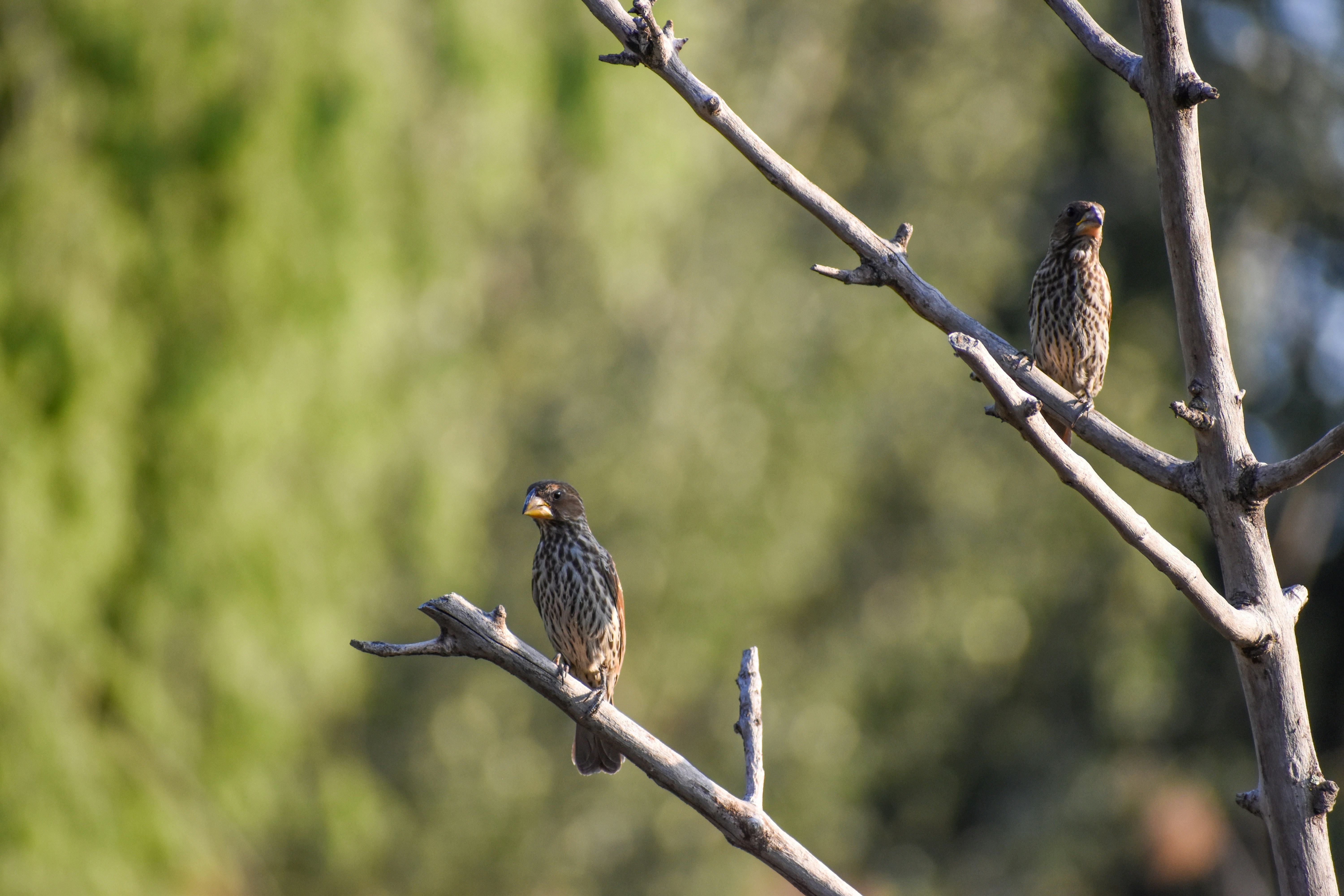 Photo by nadineventer_