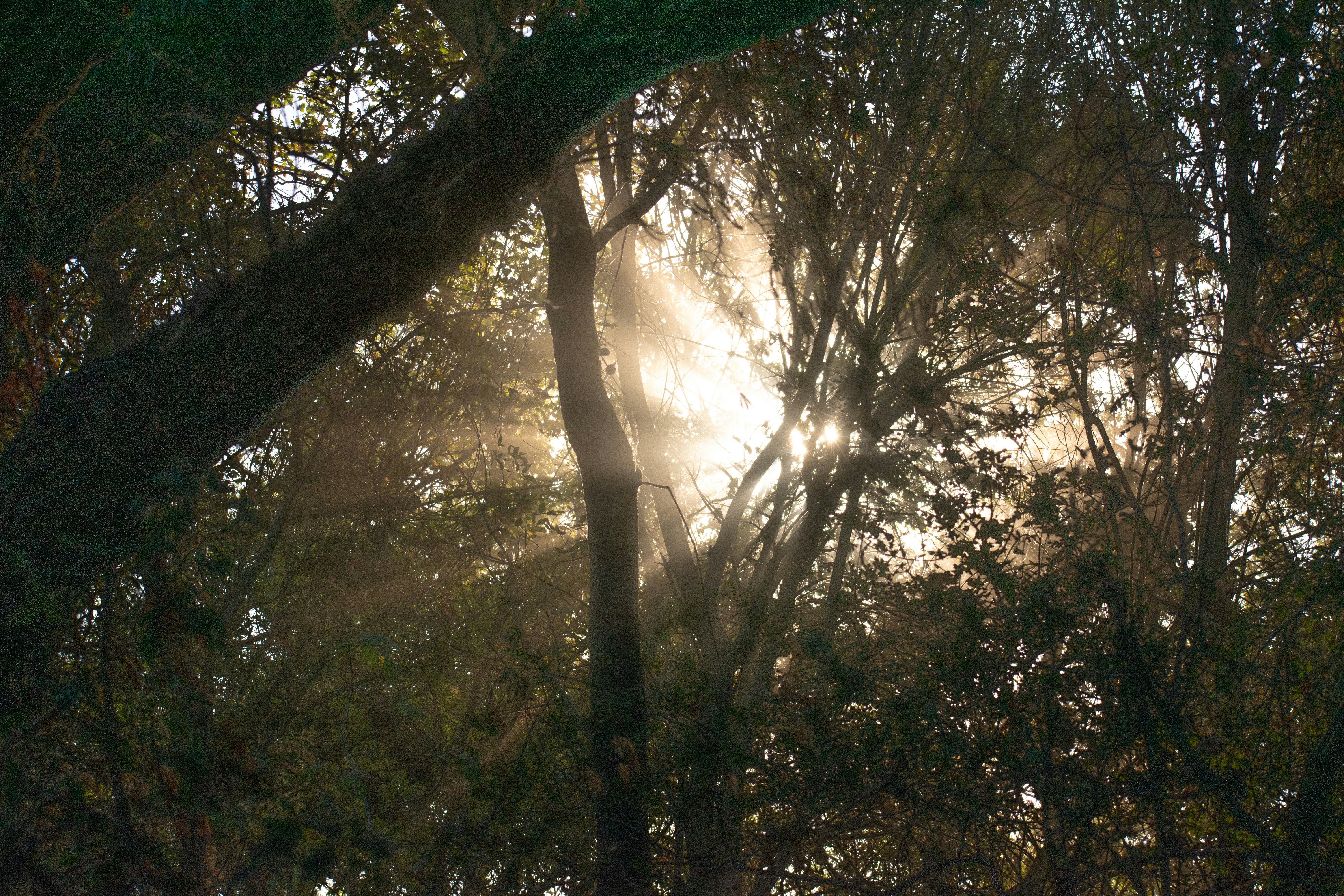 Photo by elisastonephotography