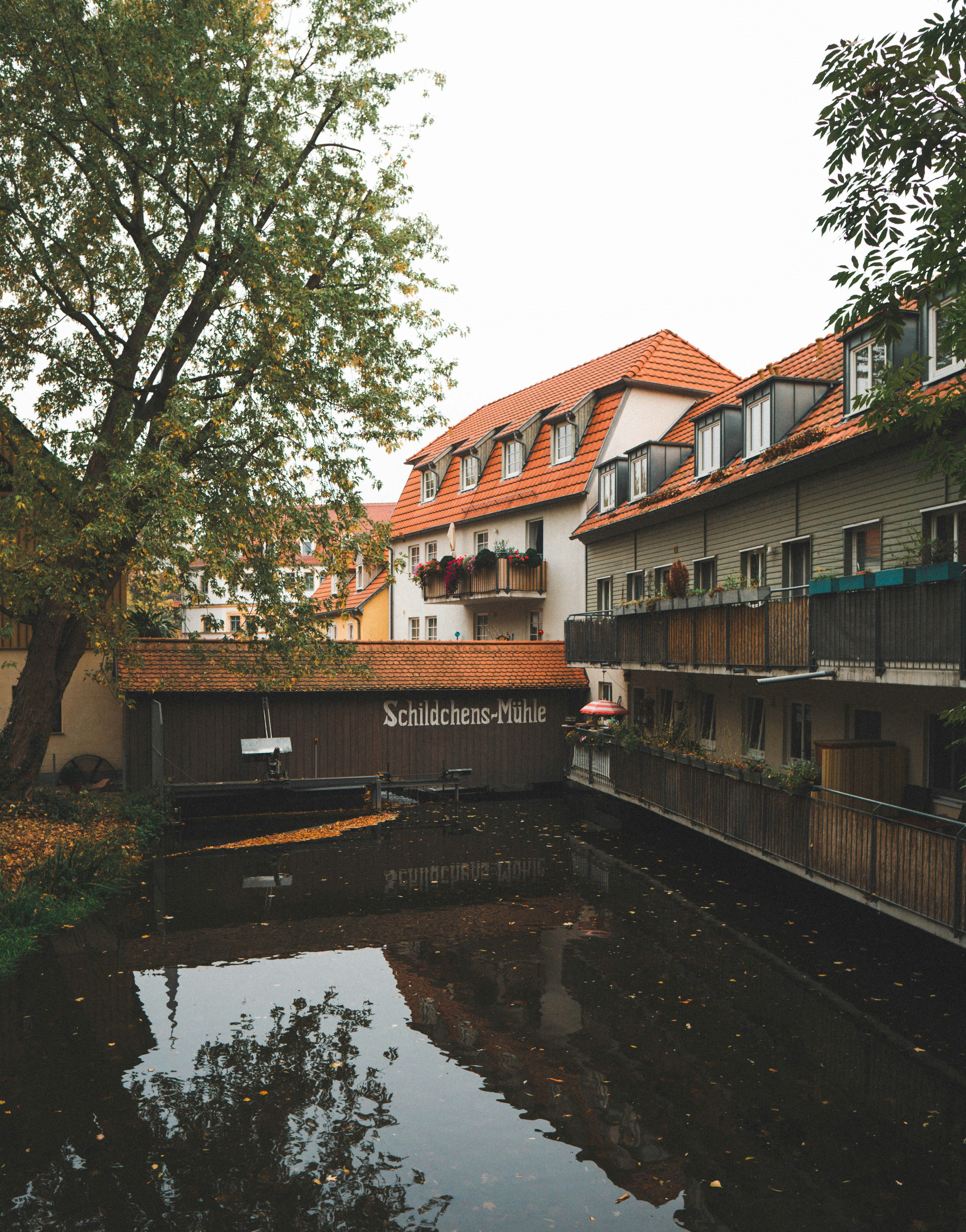 Braunes und weißes Betonhaus am Fluss tagsüber