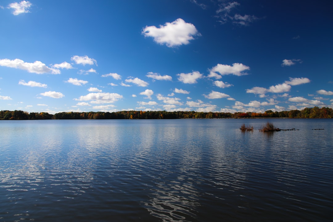 body of water near trees under blue sky during daytime