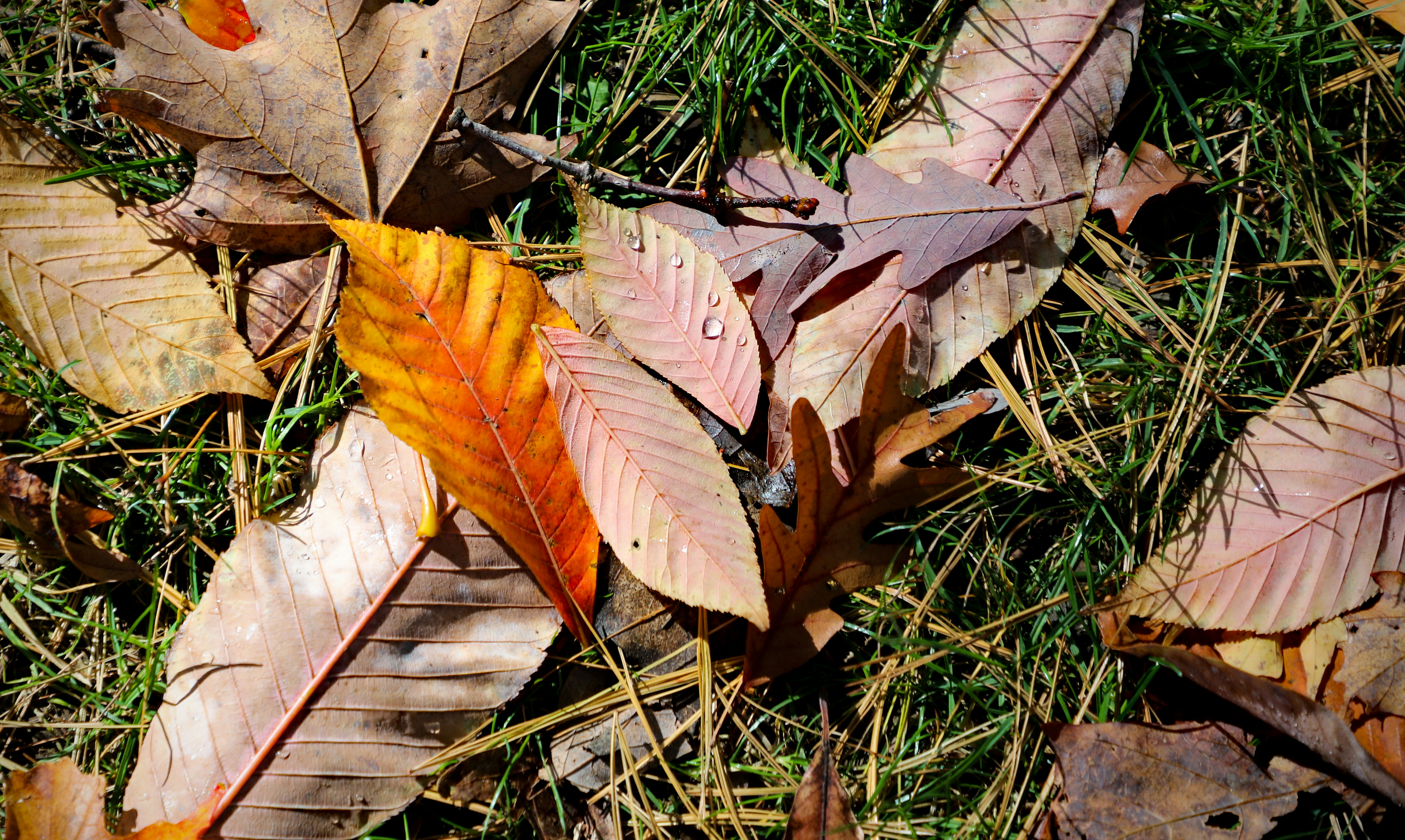 Photo by michaelbweidner