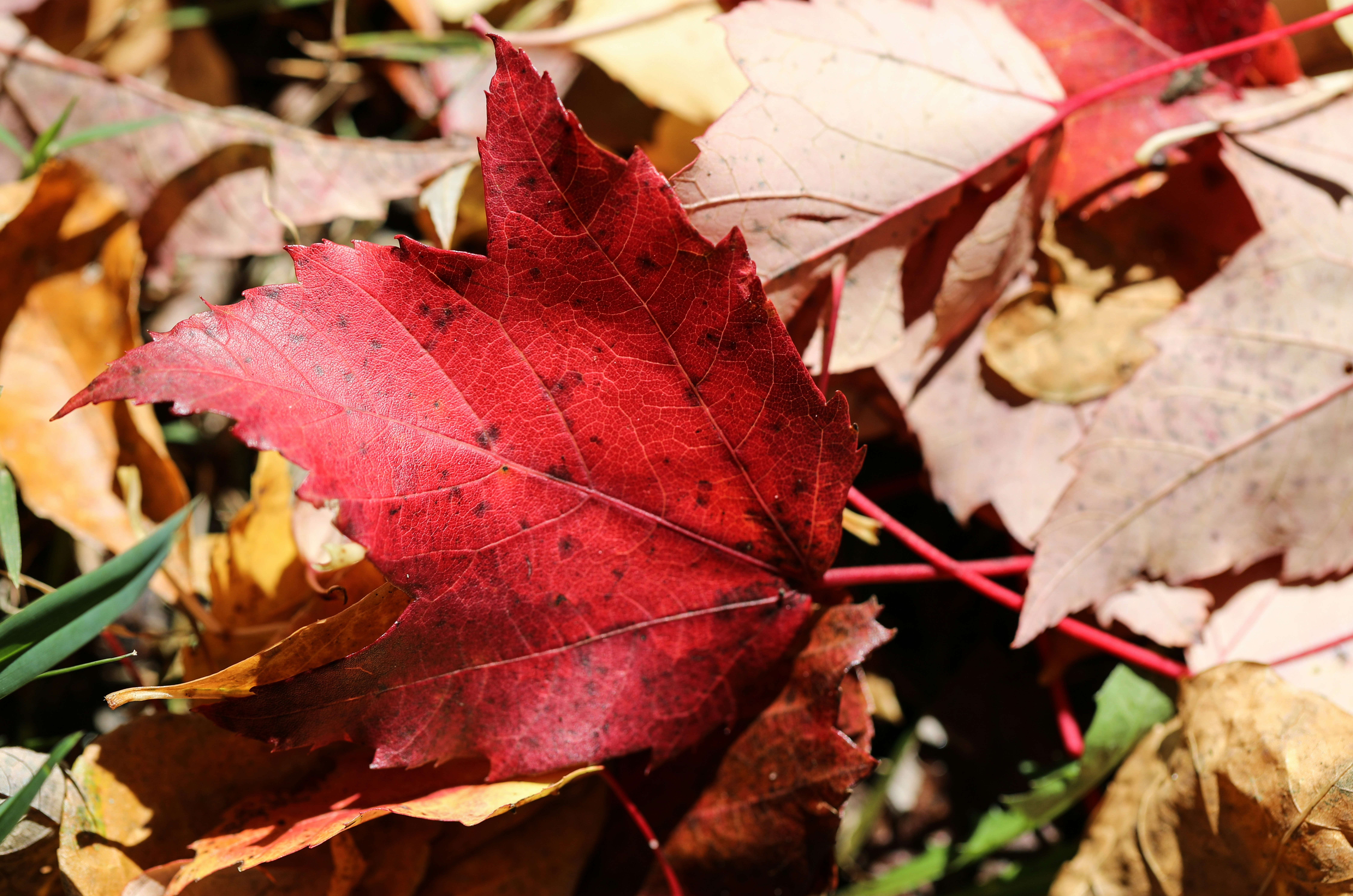 Photo by michaelbweidner