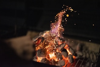 fire in a fire pit