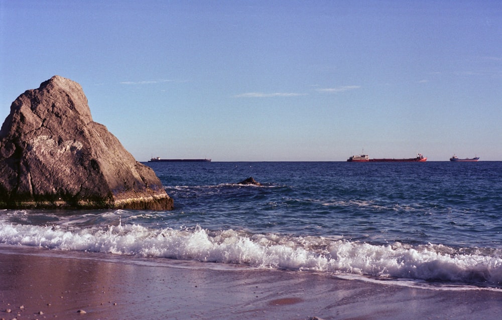 people on beach during daytime