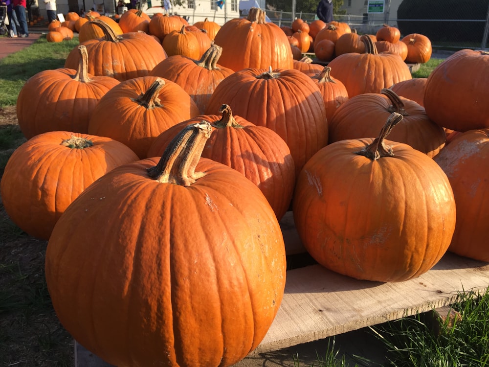 orange pumpkins on brown wooden table