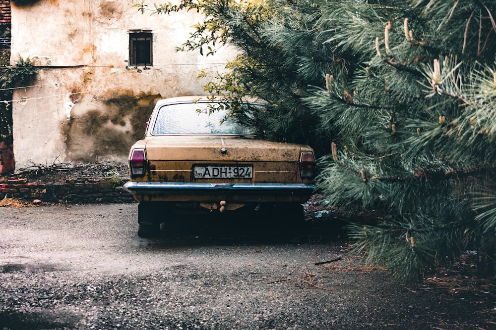 brown sedan parked beside green tree during daytime