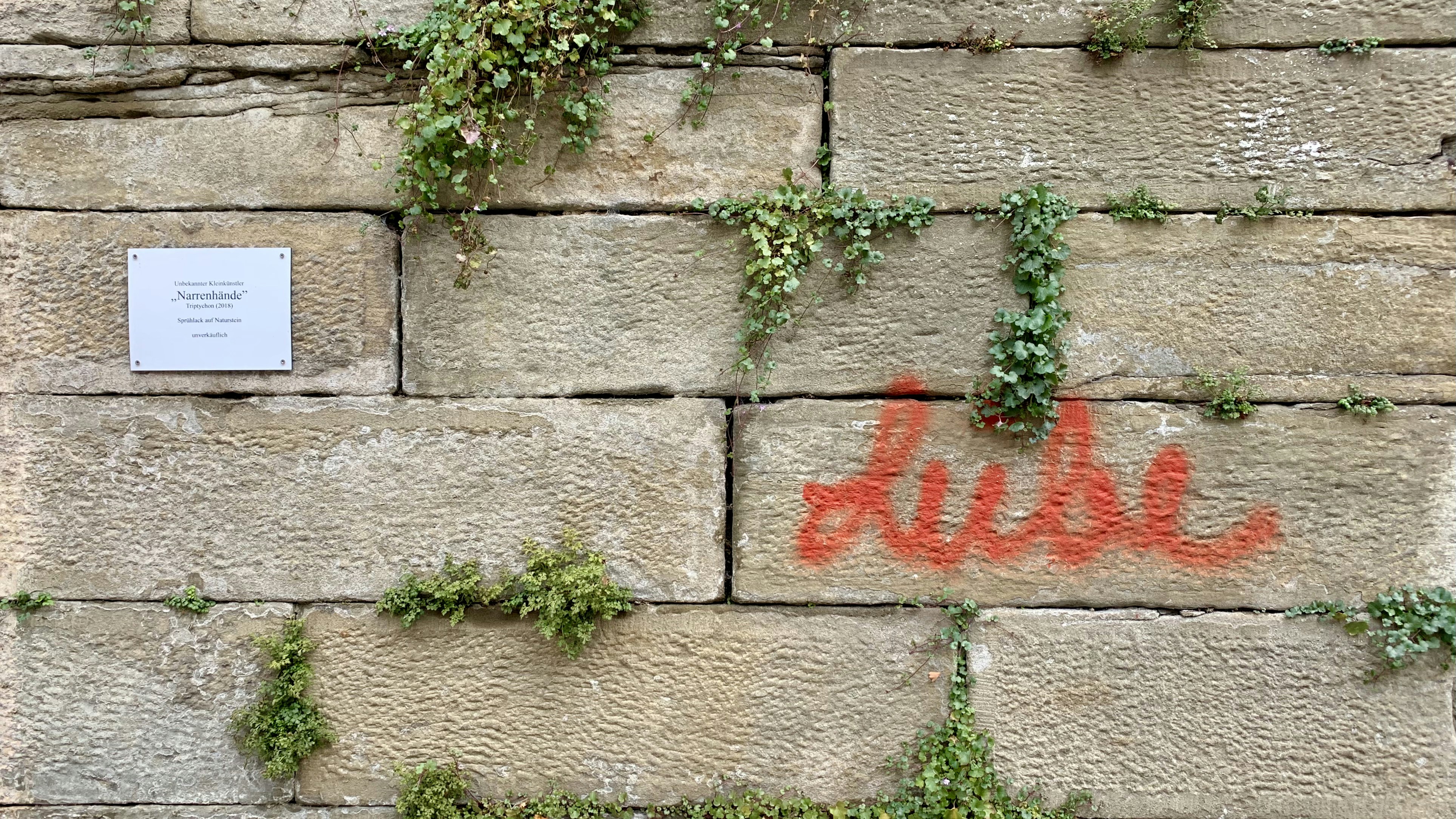green vine plant on gray concrete wall