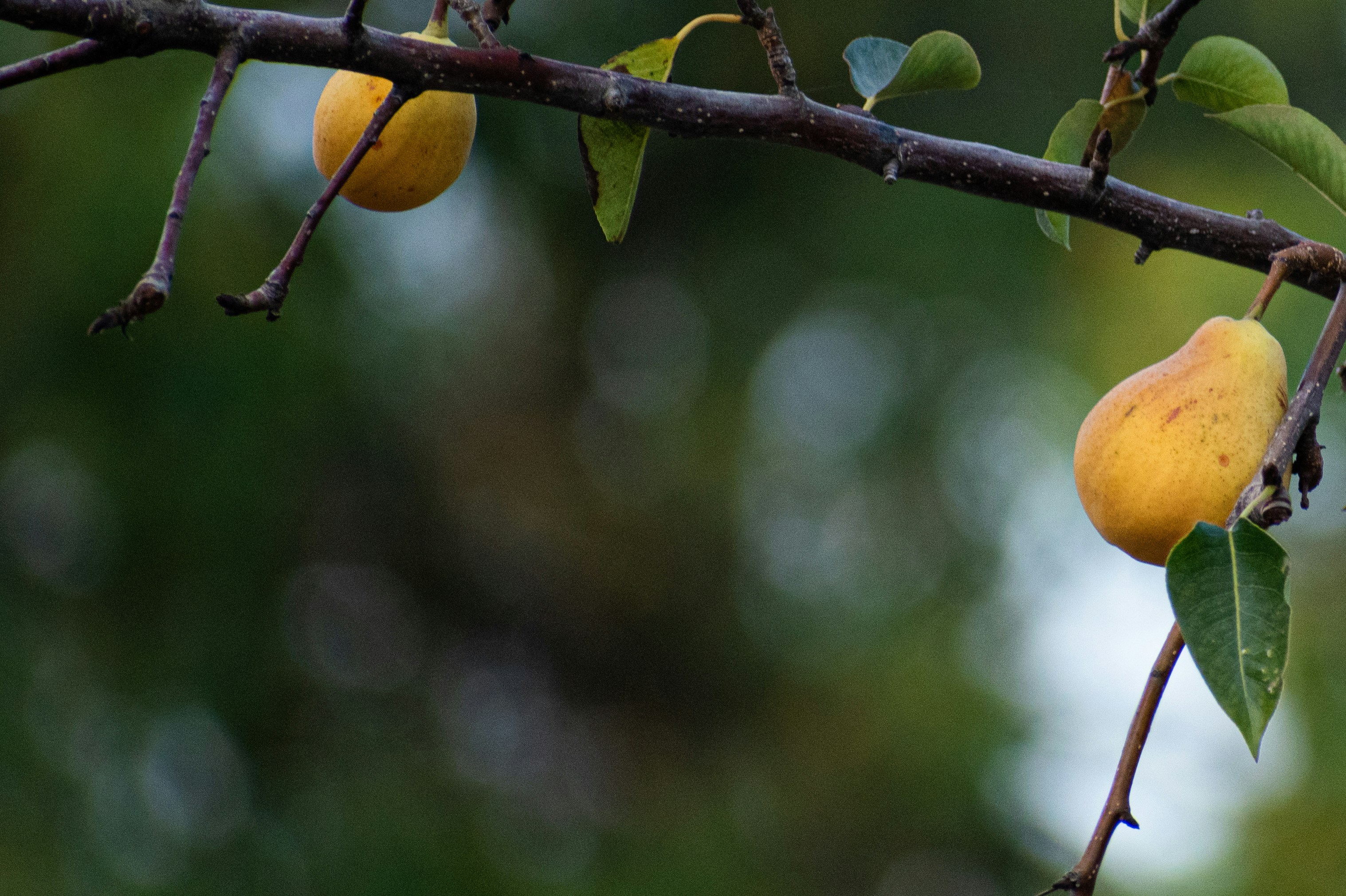 Photo by elisastonephotography