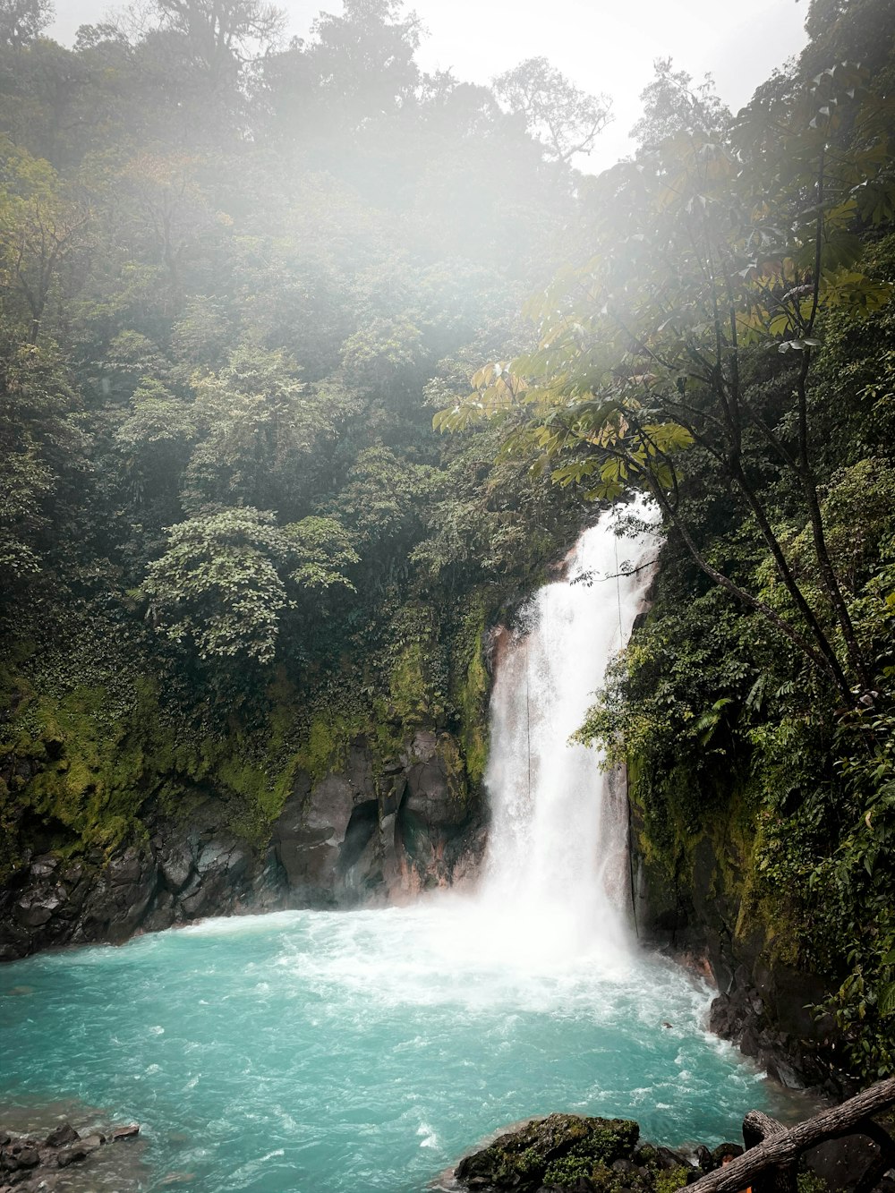 waterfalls in the middle of the forest