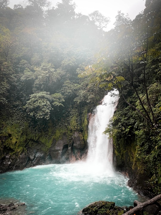 Rio Celeste y Los Teñideros things to do in Nuevo Arenal