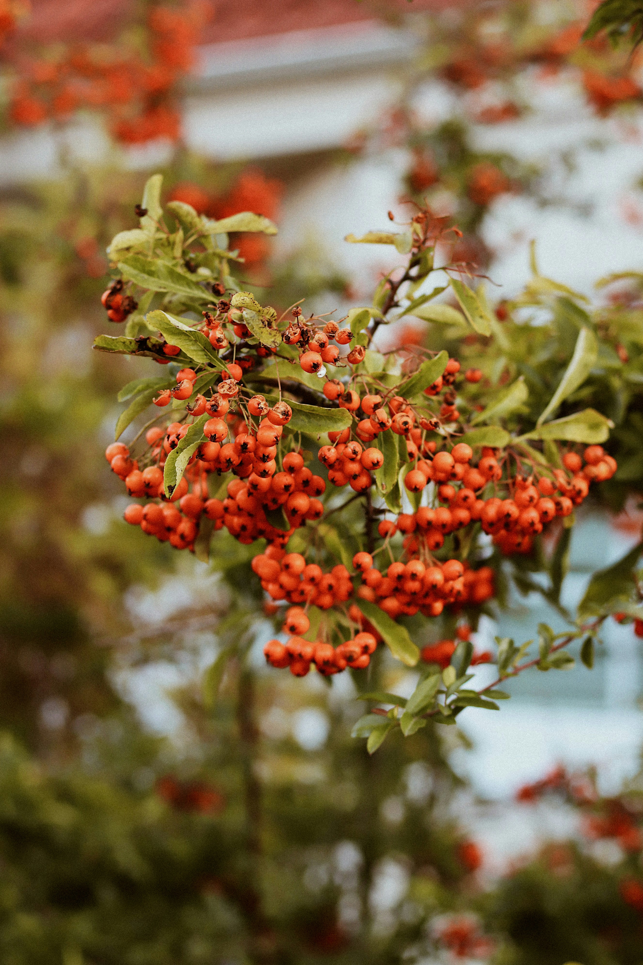 Photo by nesslovetim