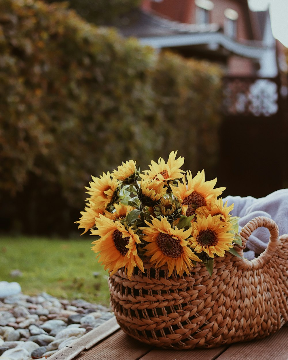 yellow sunflower in brown woven basket