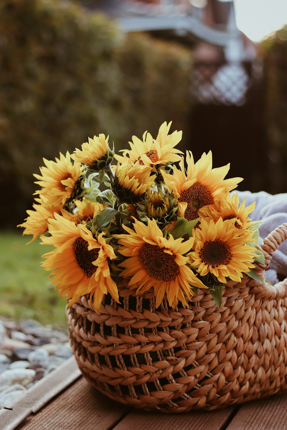 yellow sunflower in brown woven basket