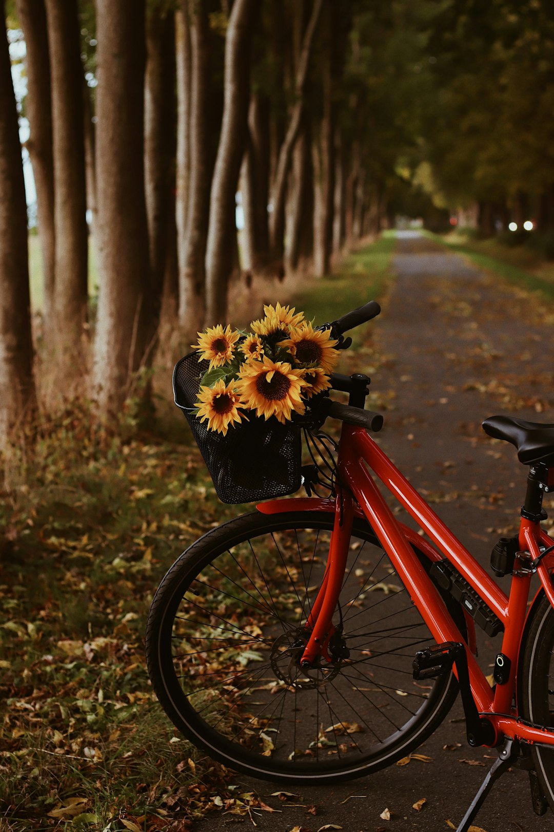 red bicycle with yellow flowers on top