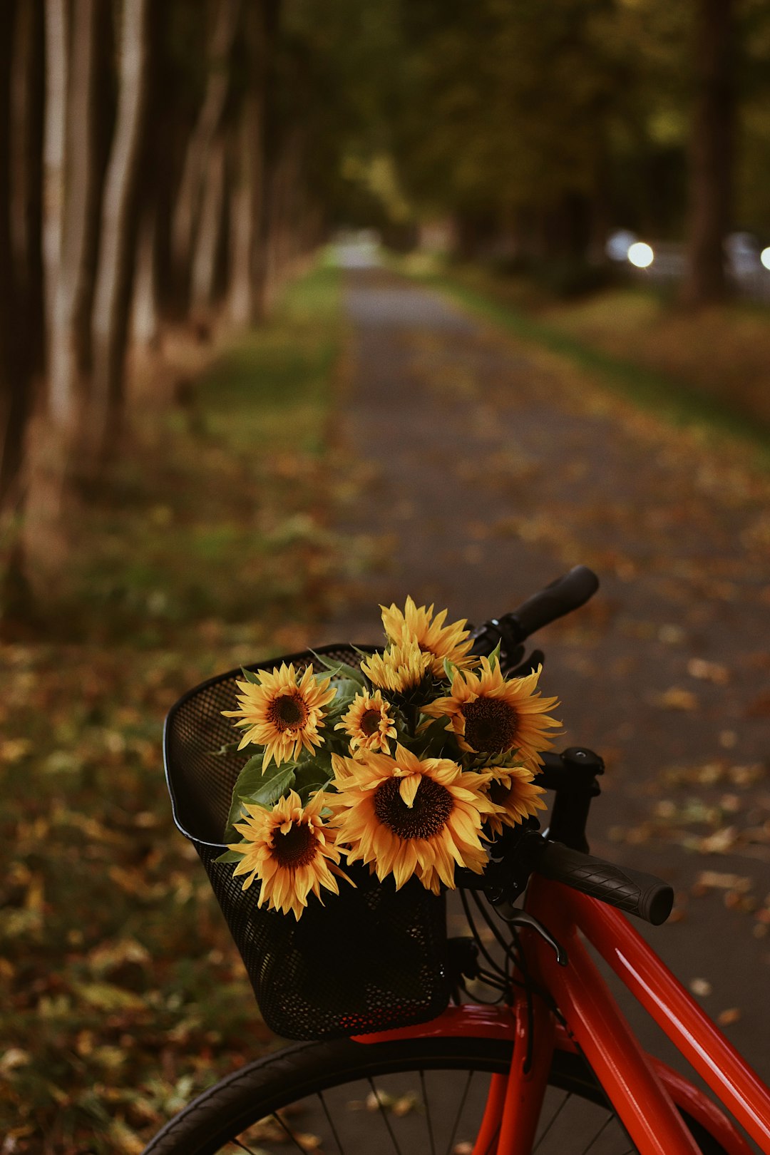yellow flowers on black bicycle