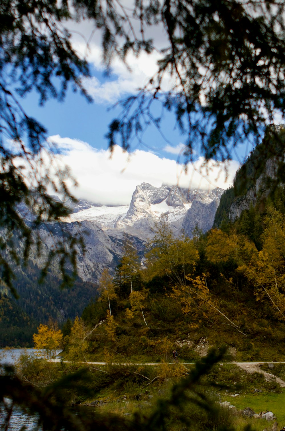 green trees near snow covered mountain during daytime