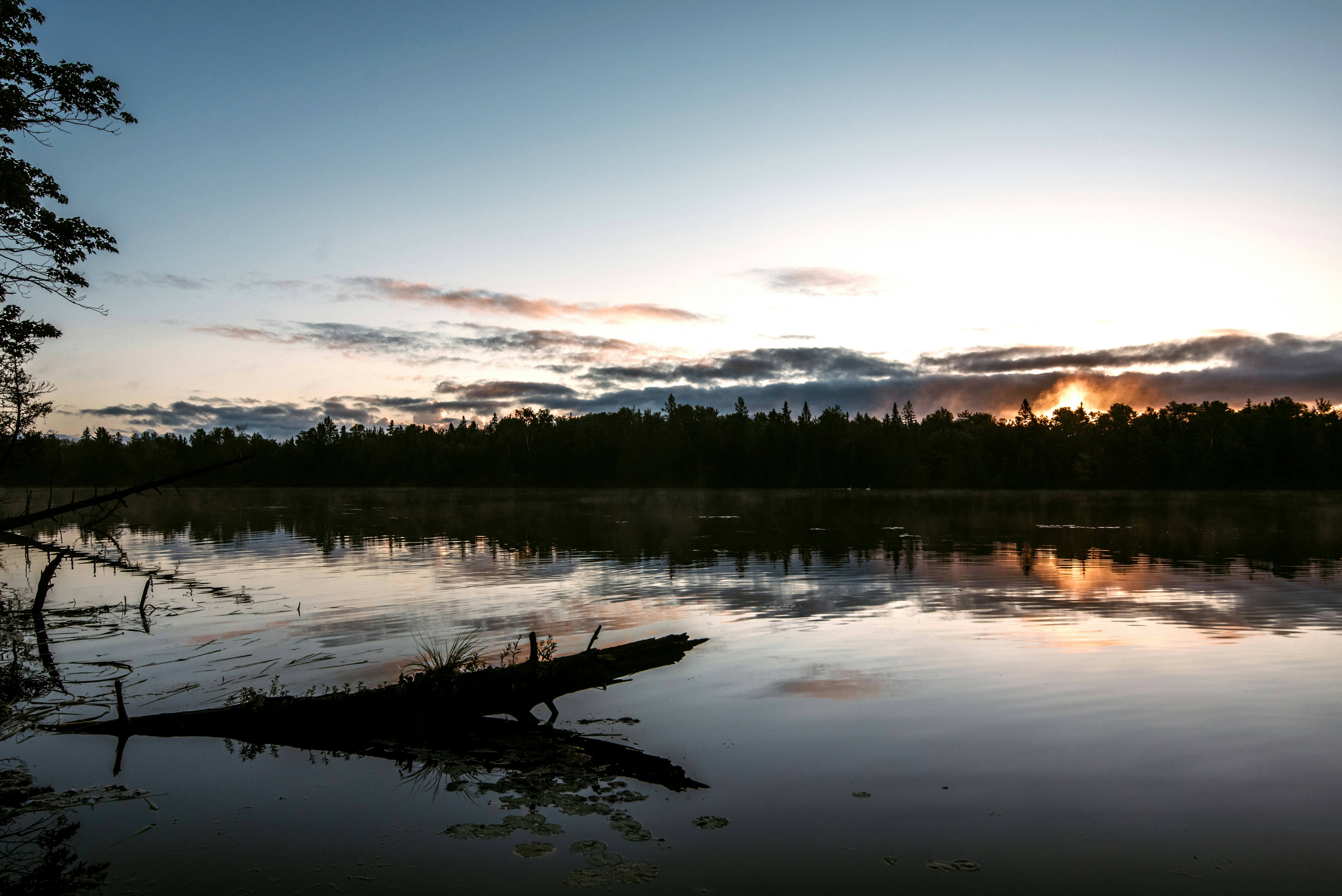 Photo by fernthephotographer