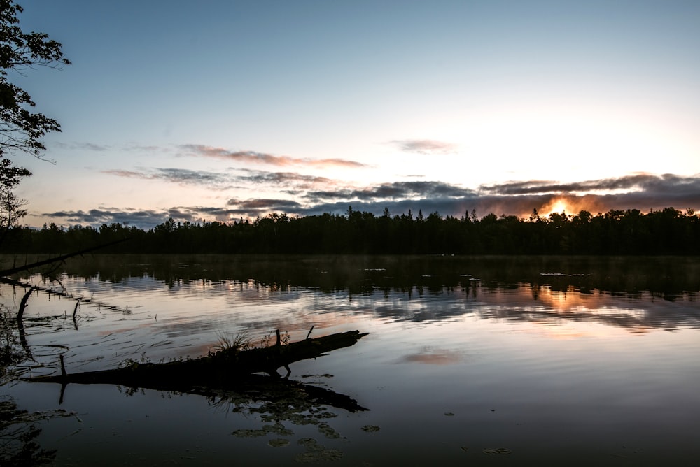 body of water near trees during daytime