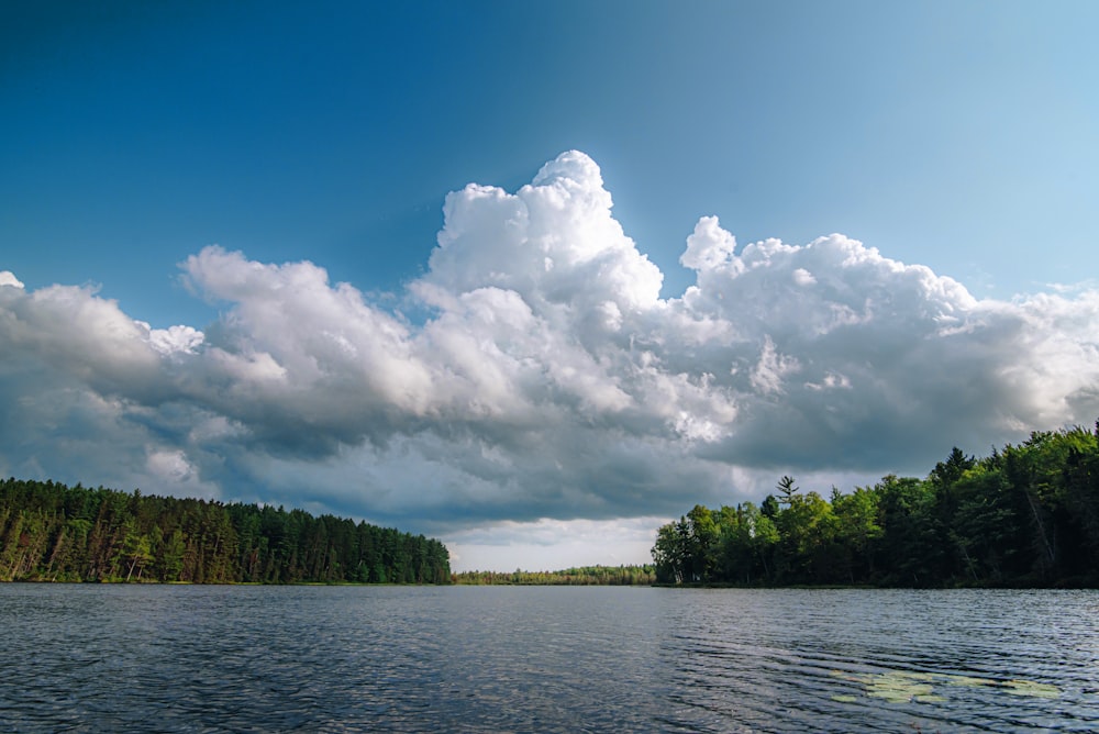 green trees beside river under white clouds and blue sky during daytime