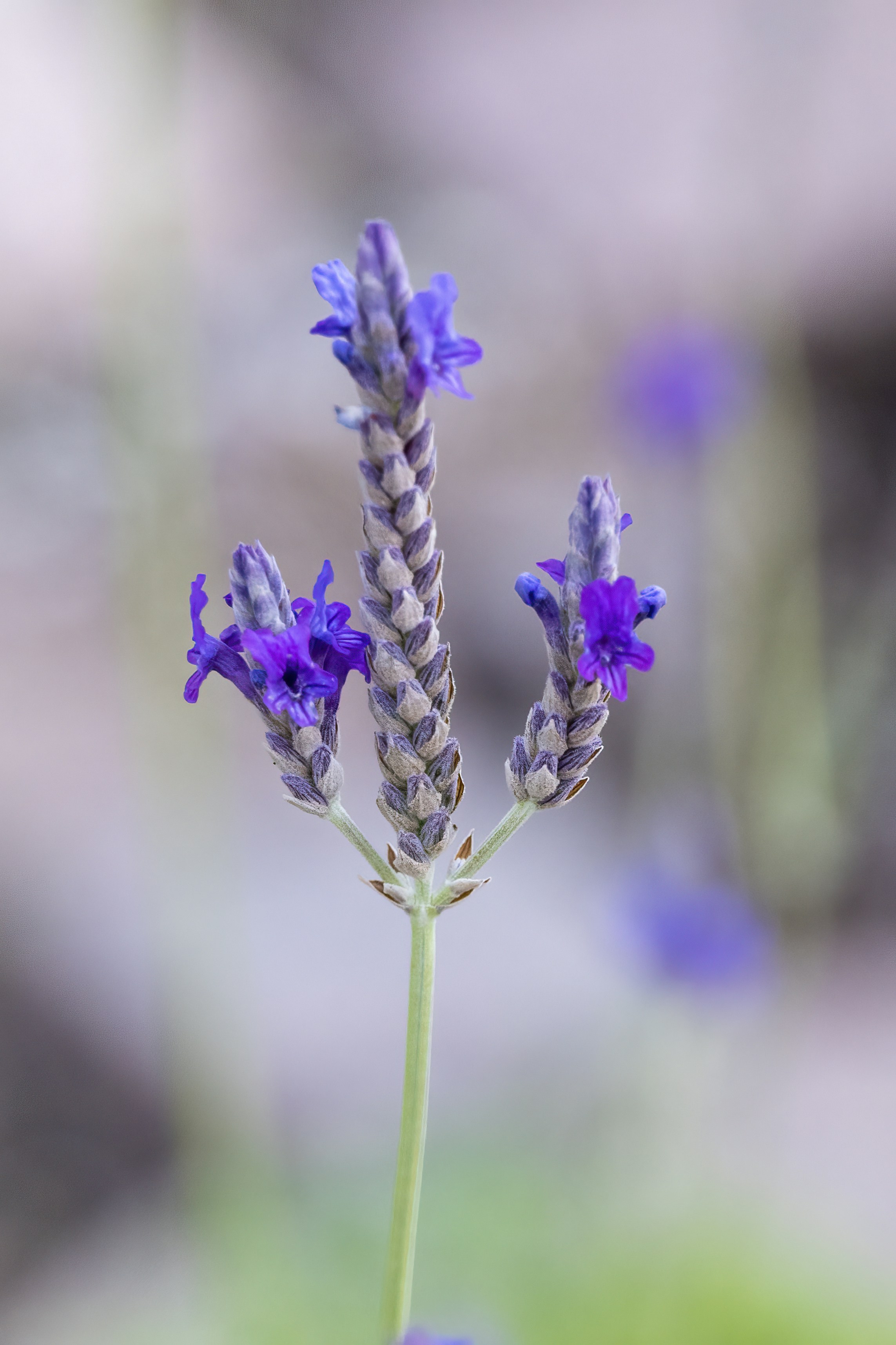 Photo by cholewinski