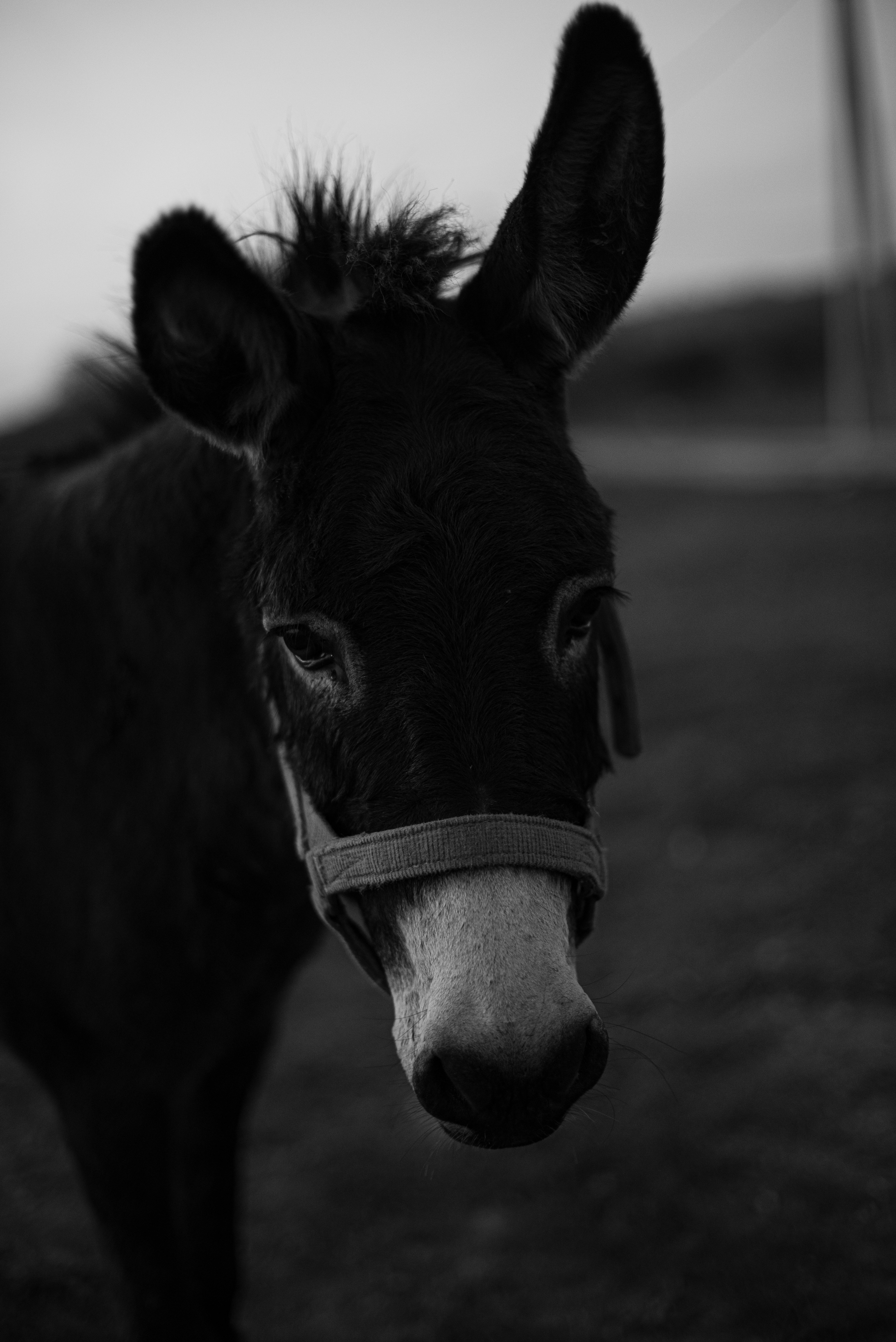 Photo by annsup