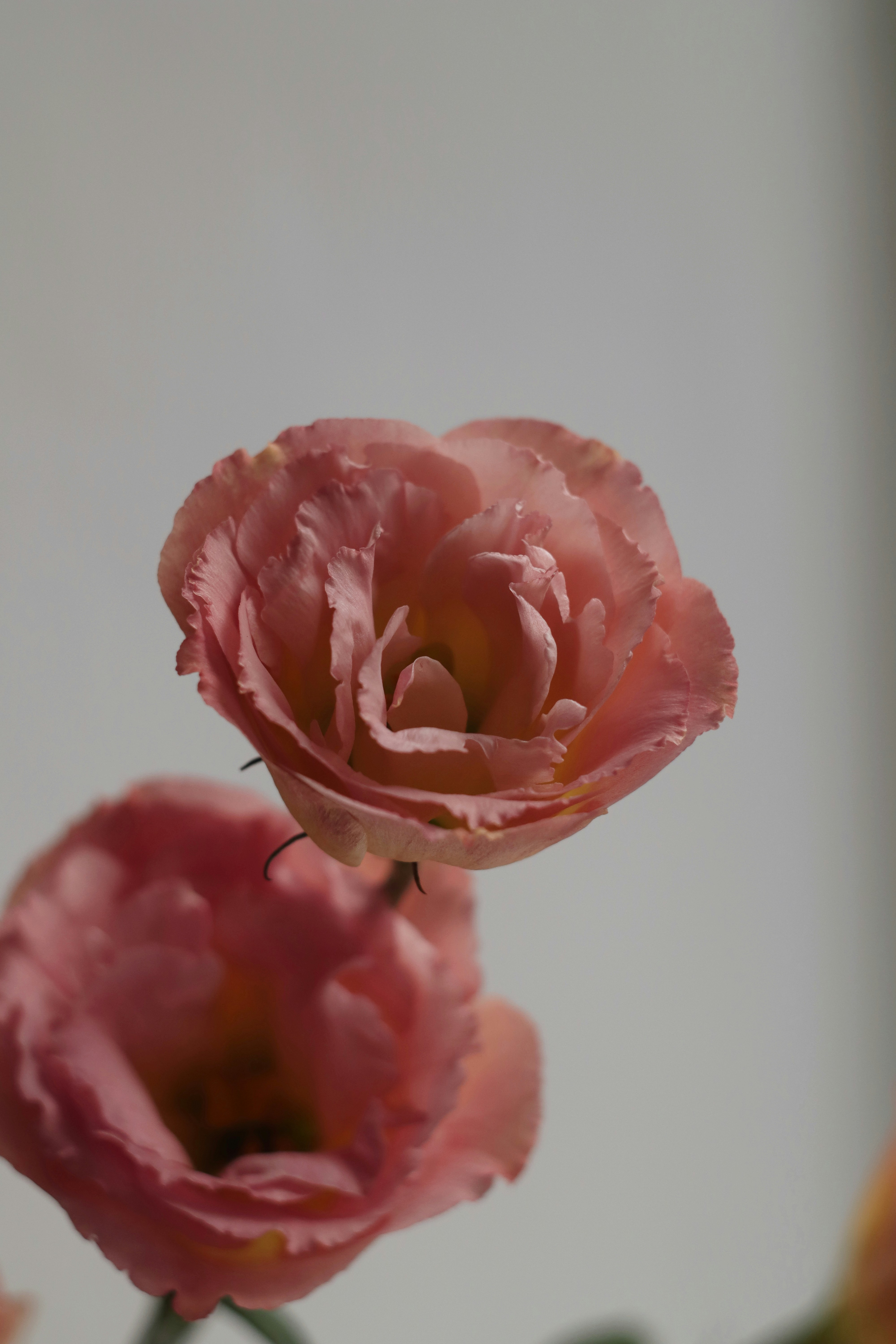 Photo by feeling_hope