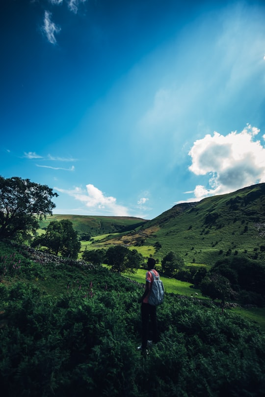 person in black jacket standing on green grass field during daytime in Pistyll Rhaeadr United Kingdom