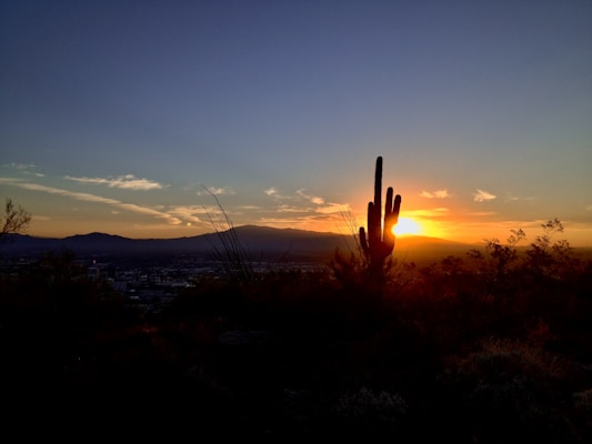 Tucson, United States