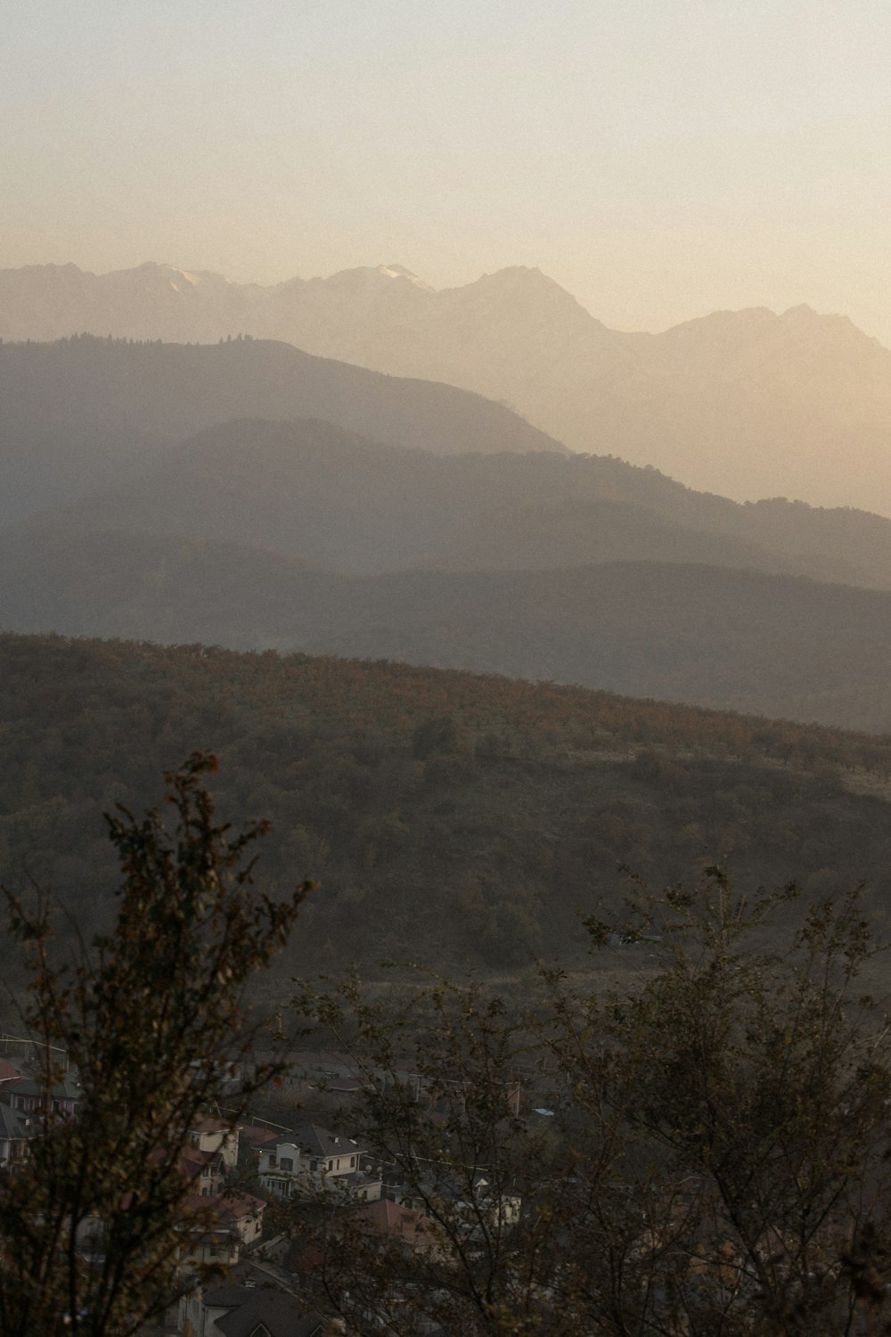 árvores verdes na montanha durante o dia