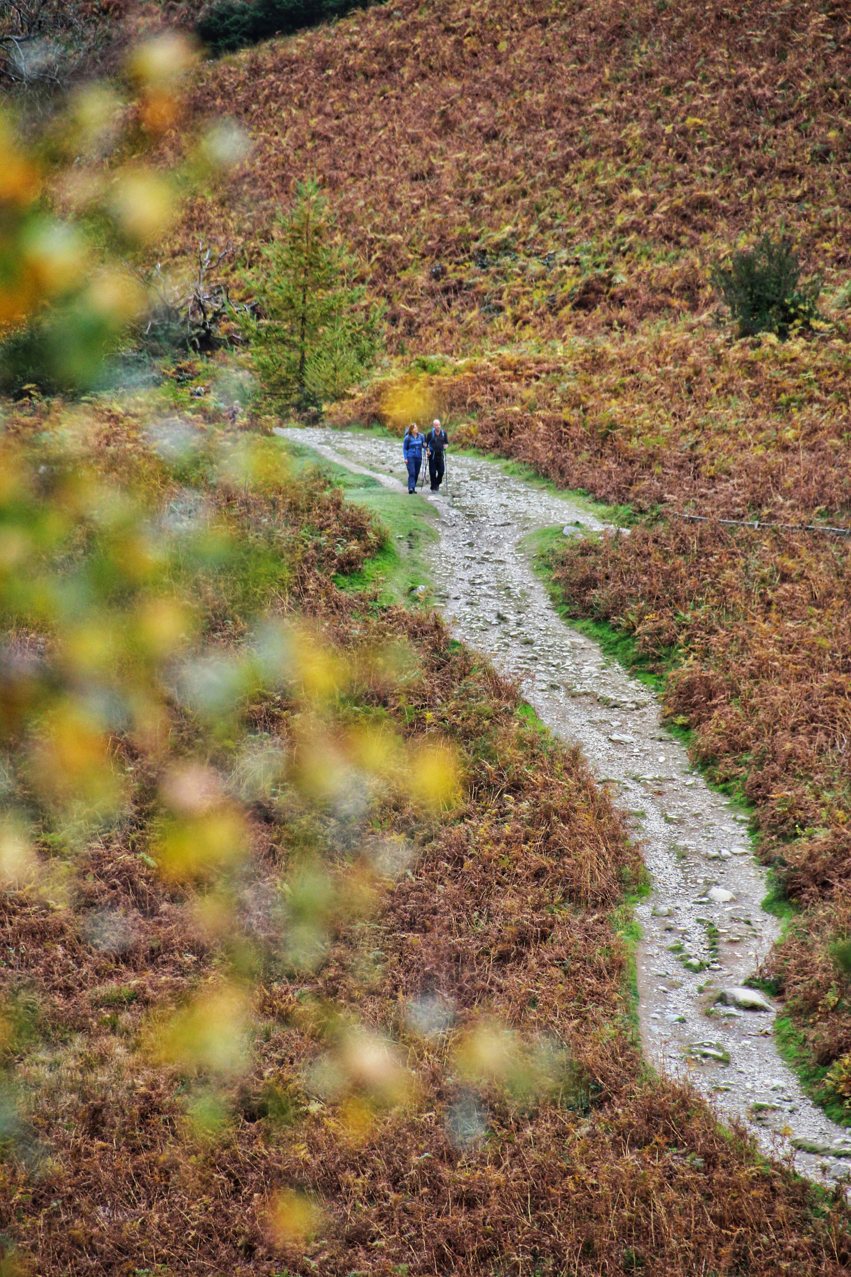 Persona con chaqueta negra caminando en el campo de hierba verde durante el día