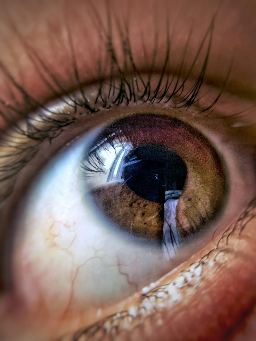 persons eye in close up photography