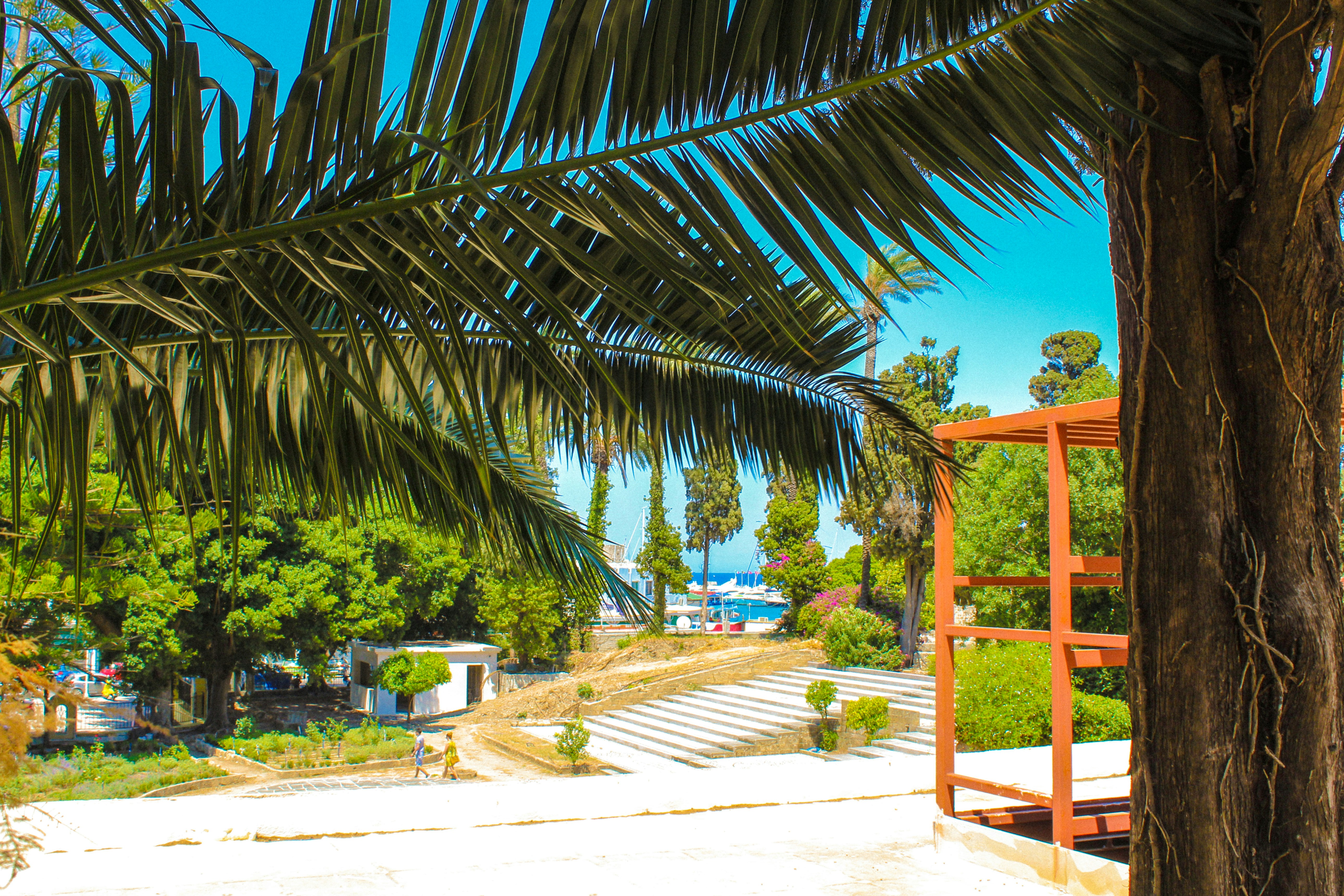 Photo by _earthprix_