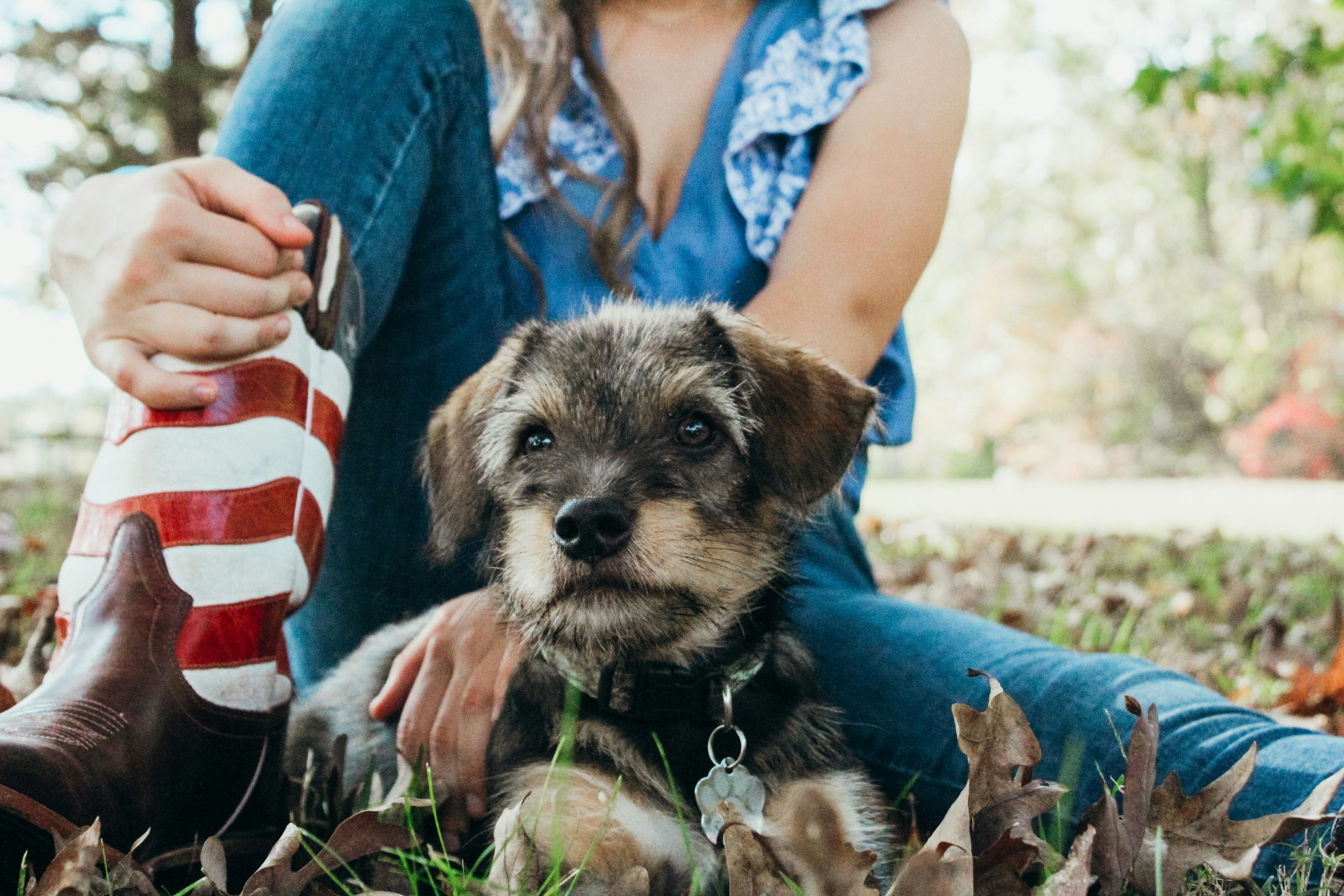 Photo by michellekennon