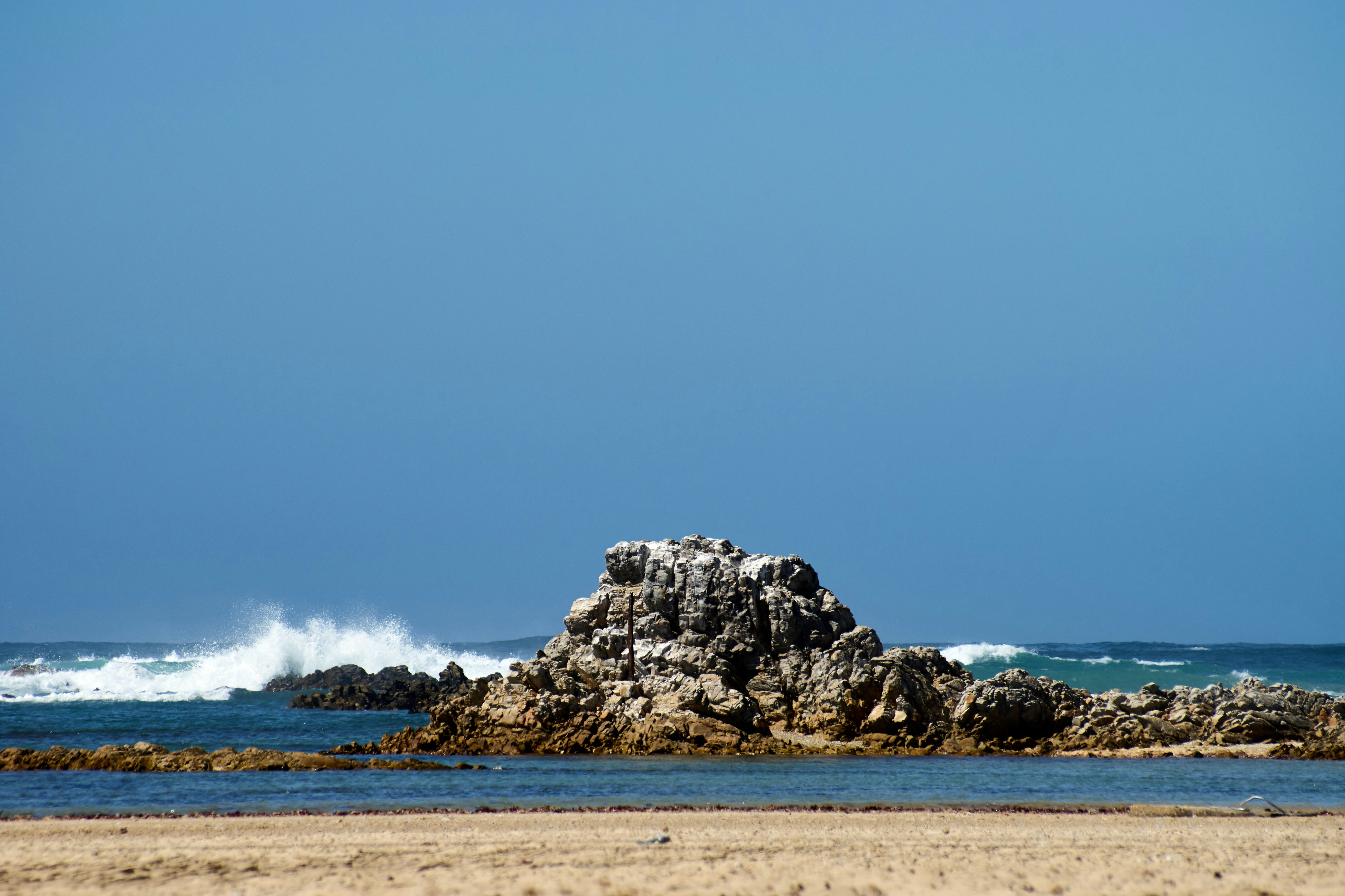 Photo by wolfgang_hasselmann