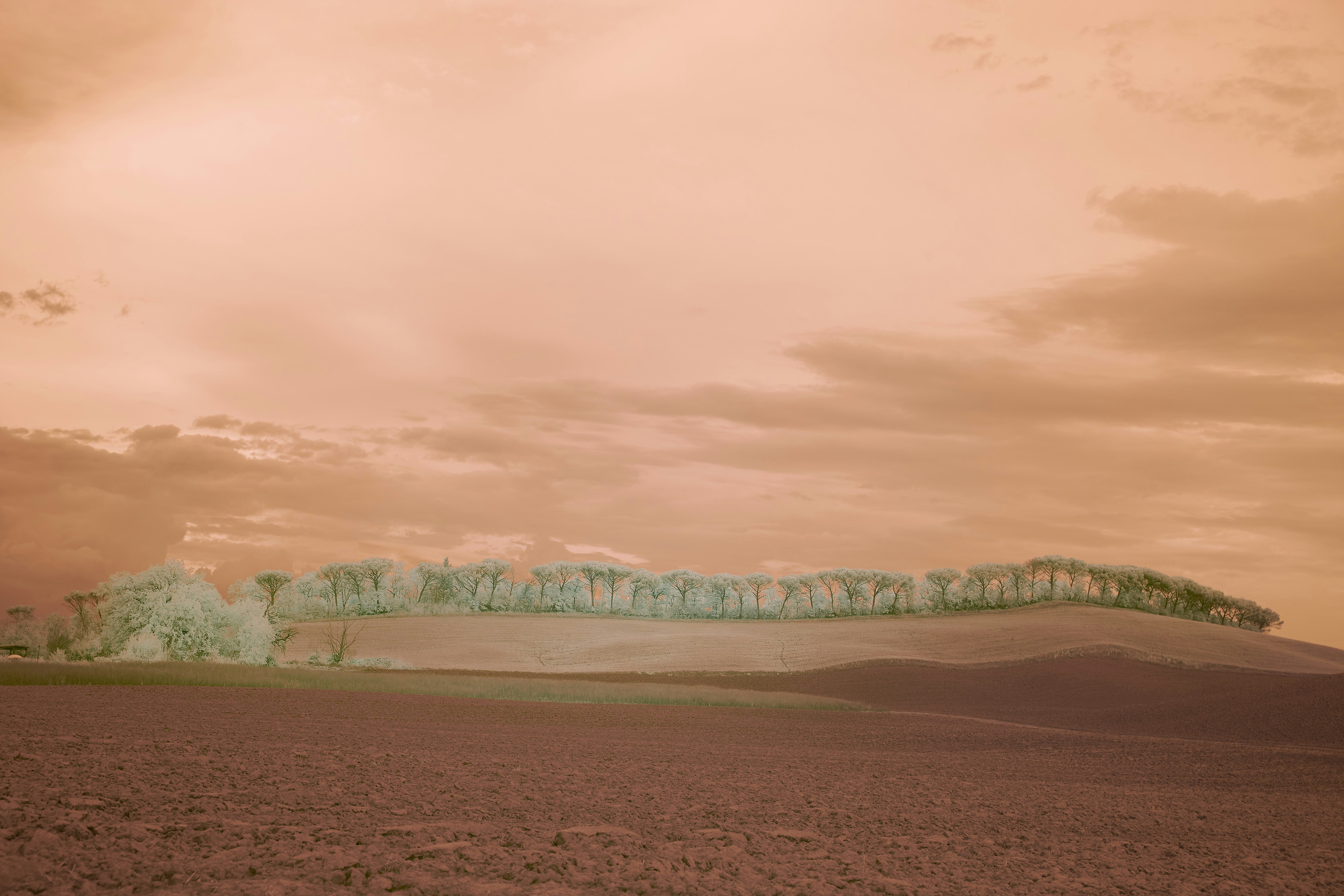 Green grass field near body of water under cloudy sky during daytime
