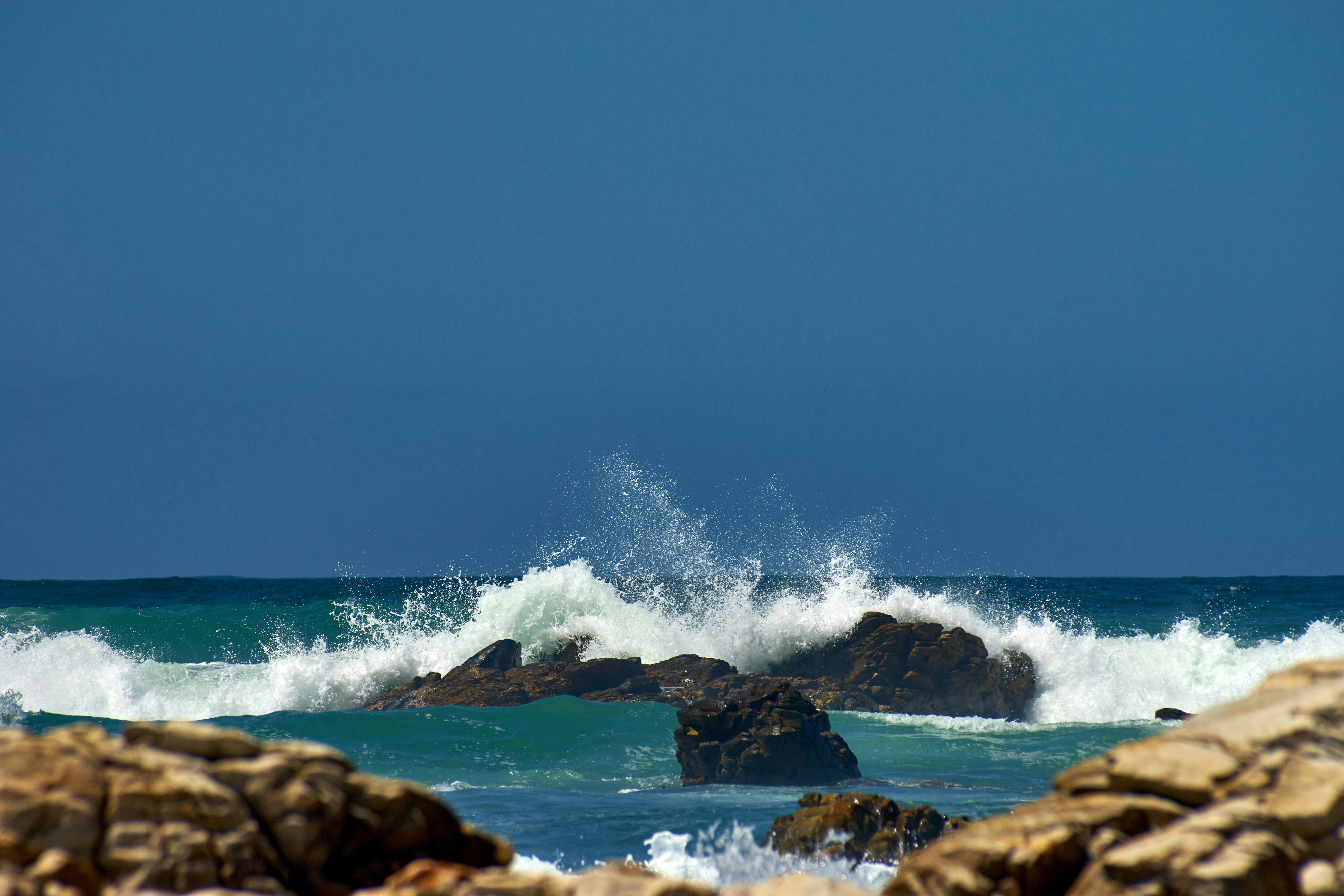 Photo by wolfgang_hasselmann