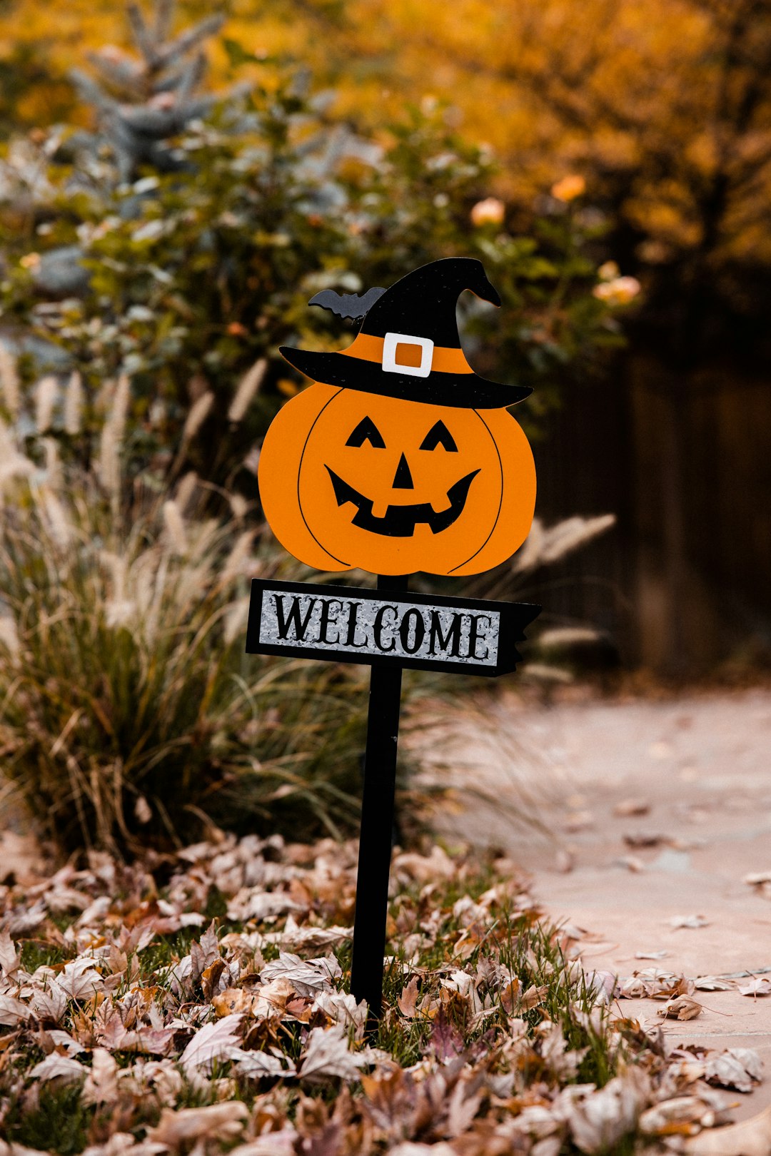 orange and black jack o lantern