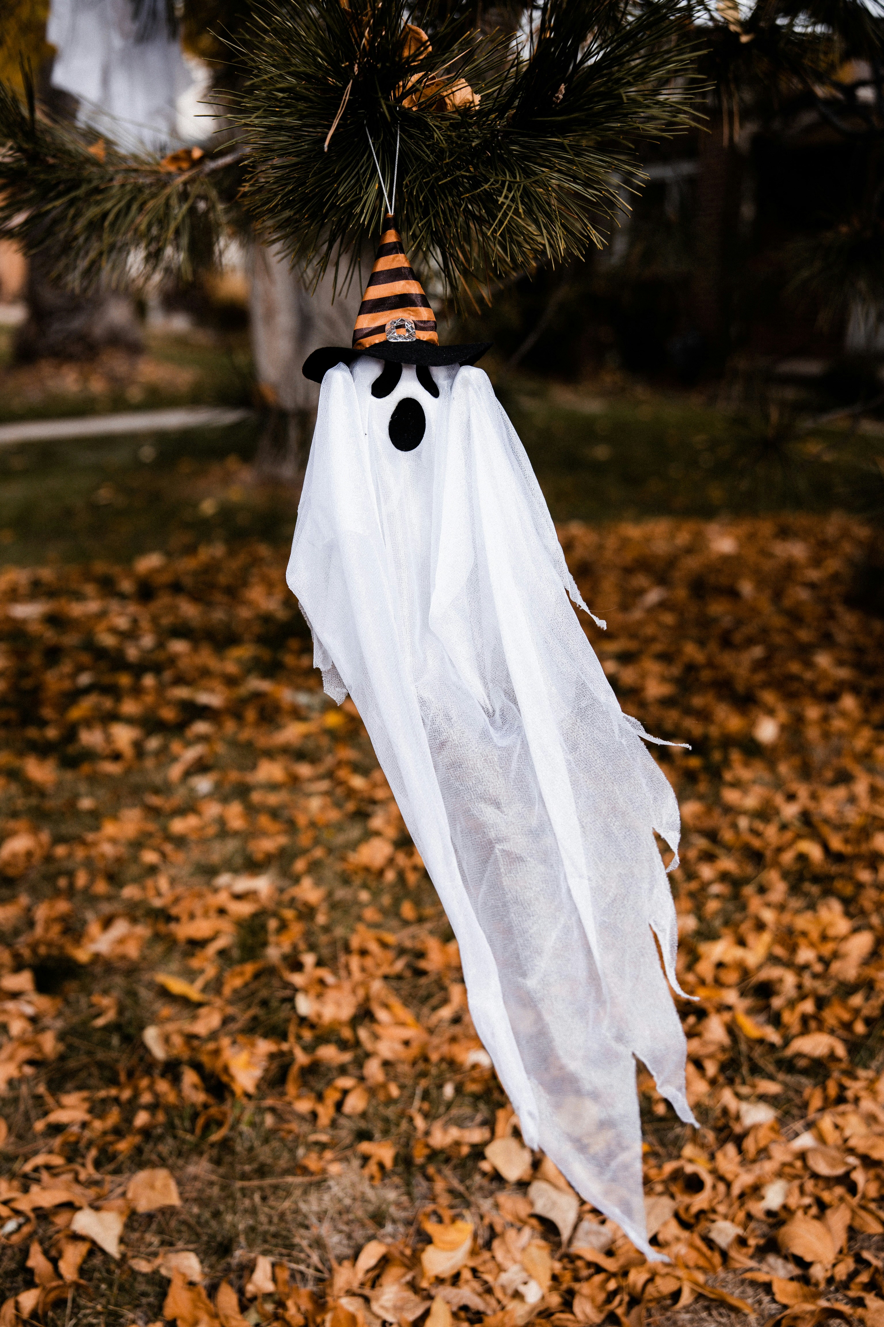 woman in white dress standing on dried leaves during daytime