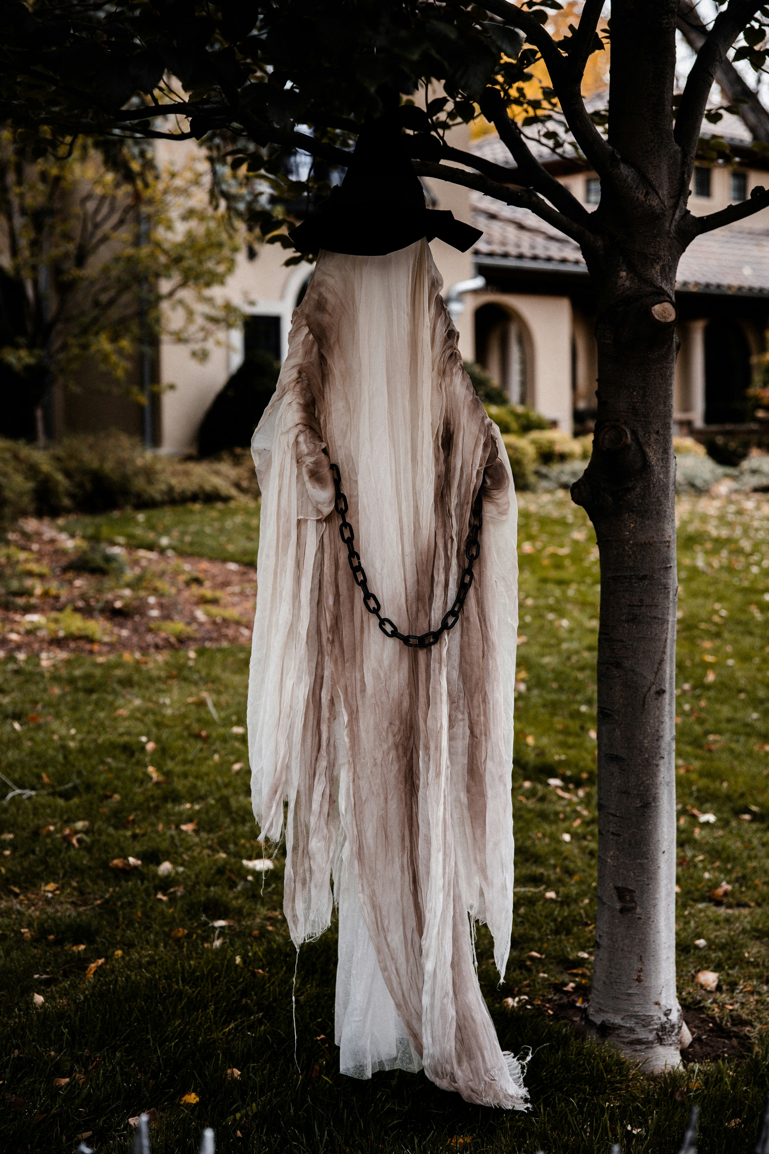 다이소 할로윈 망토 모자 관련 이미지1