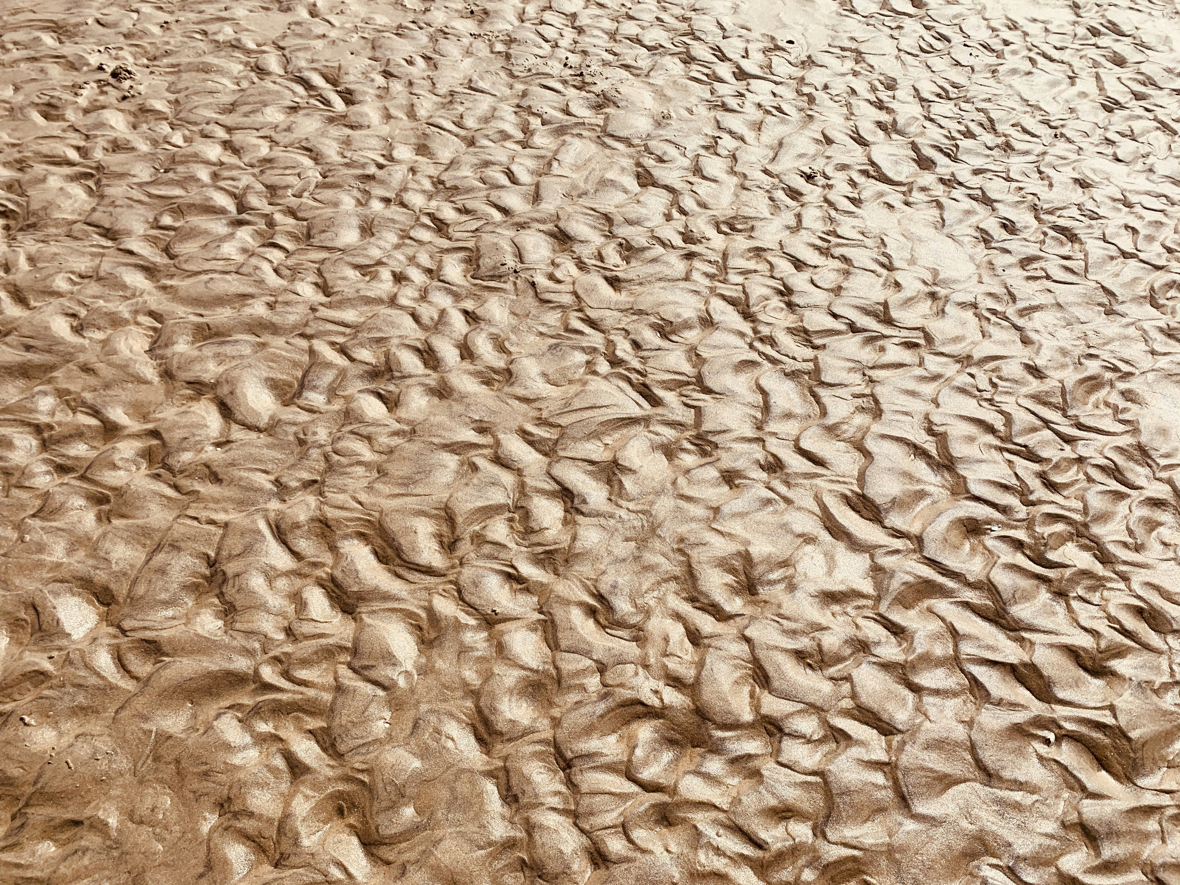 Sable blanc avec sable brun photo – Photo Marrone Gratuite sur Unsplash