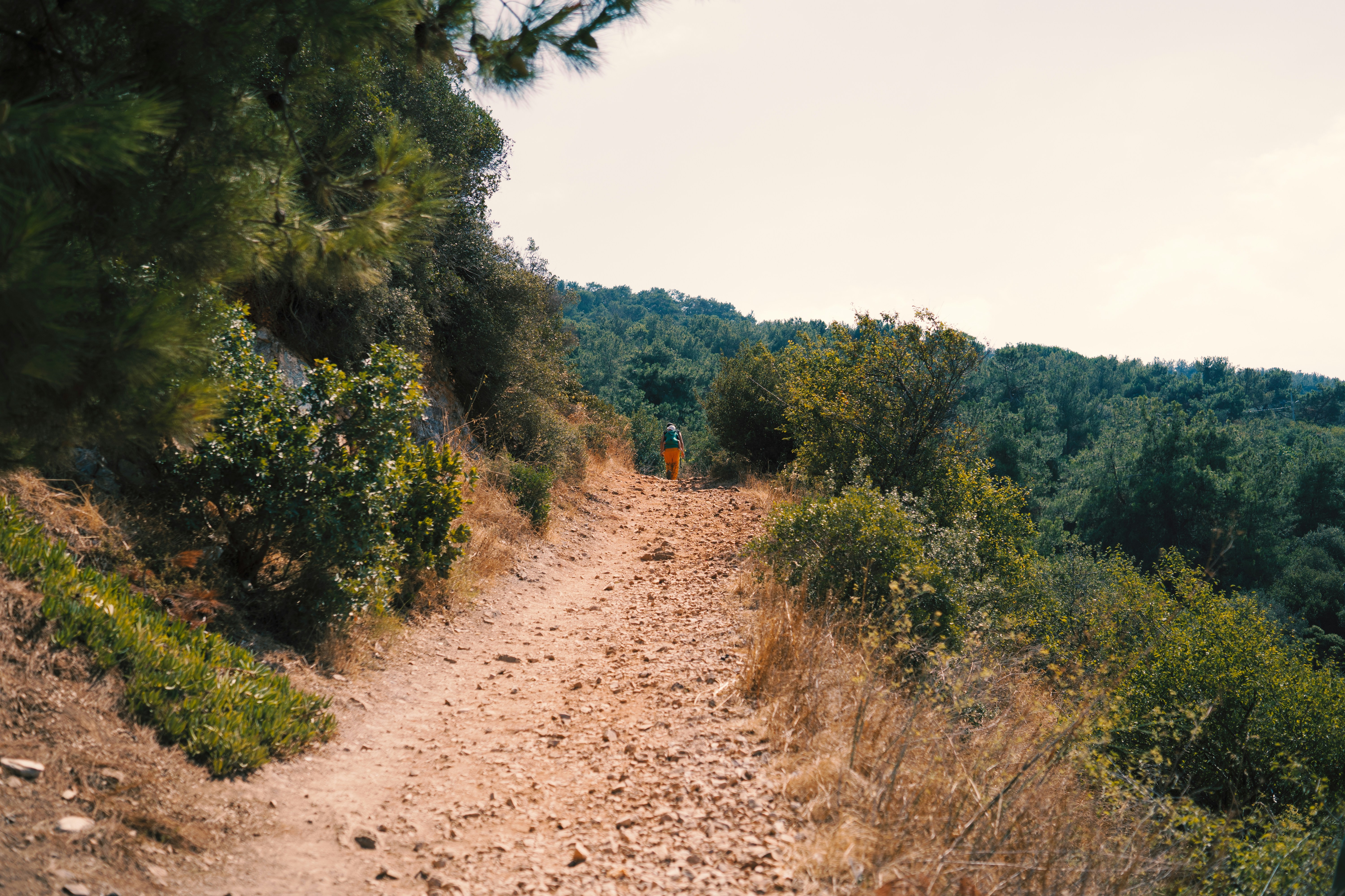 Photo by takenori1128